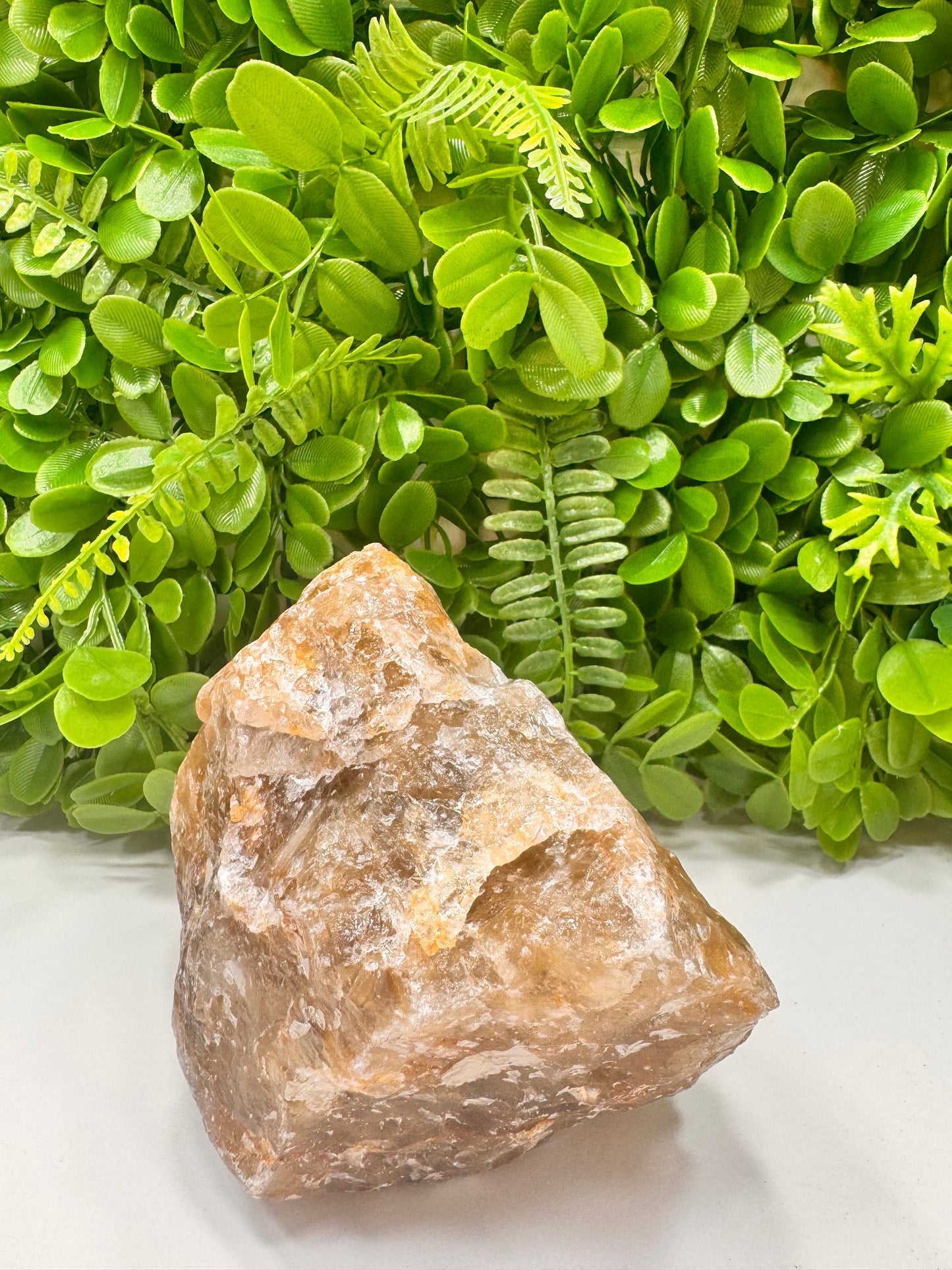 Golden Healer Raw 2060g