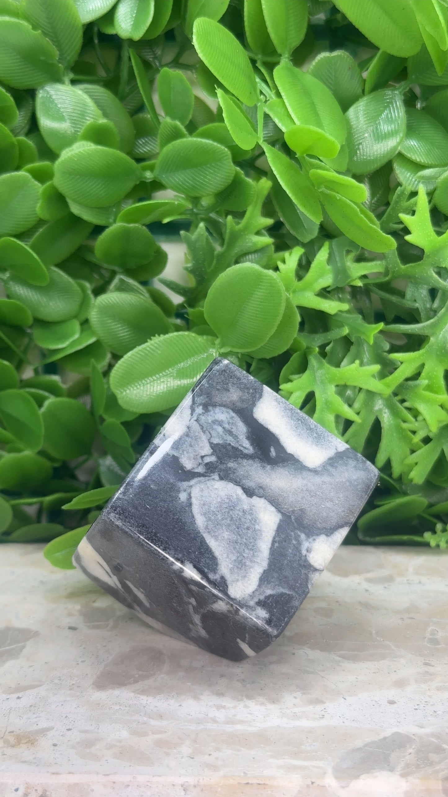 Shell Jasper Cube 320g