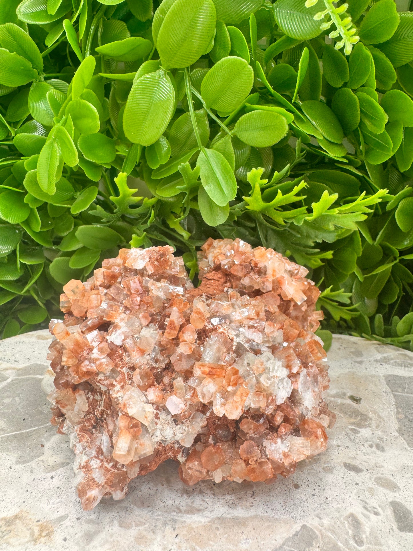 Aragonite Sputnik Freeform 786g