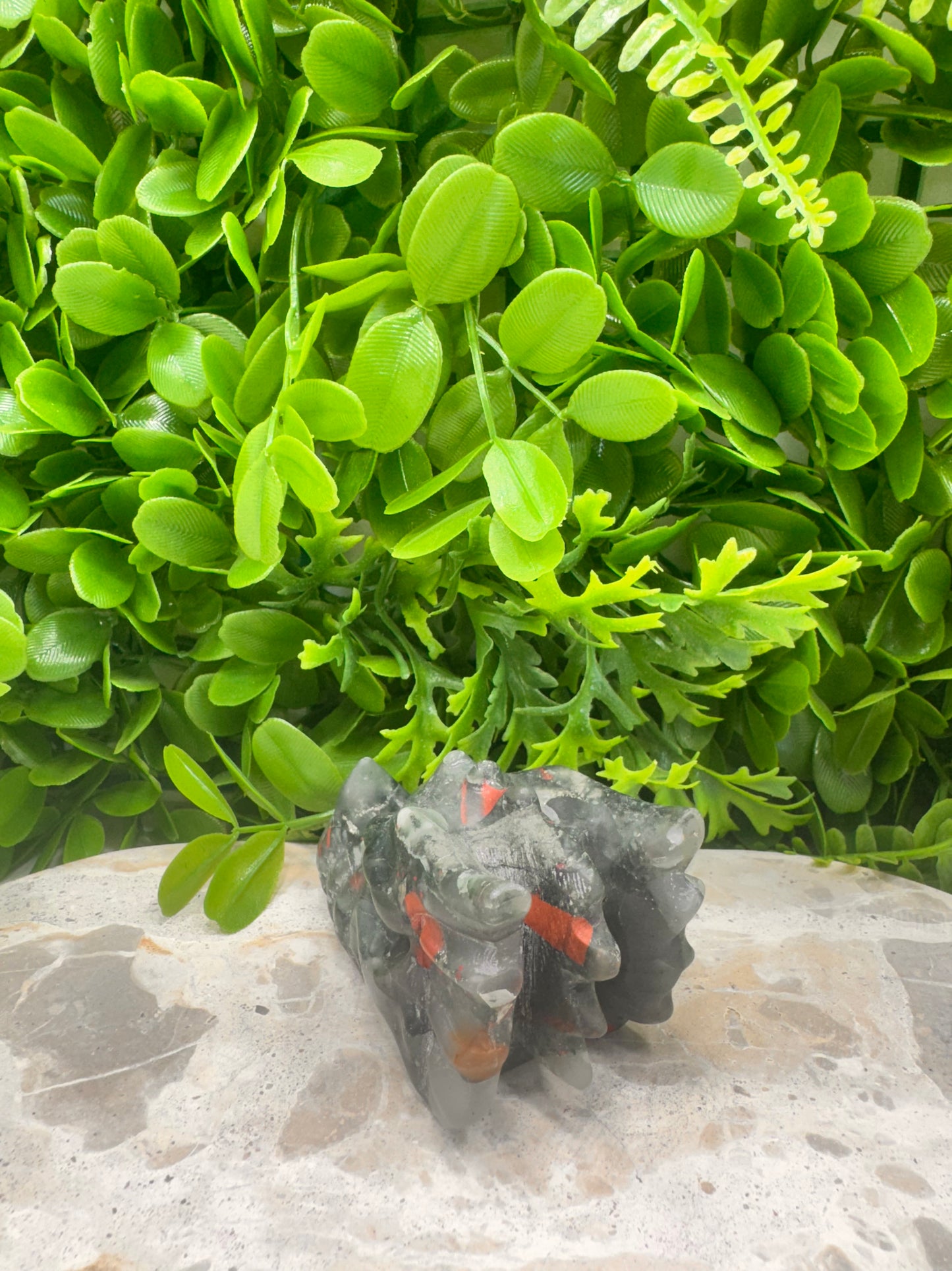 African Bloodstone Dragon Skull 278g