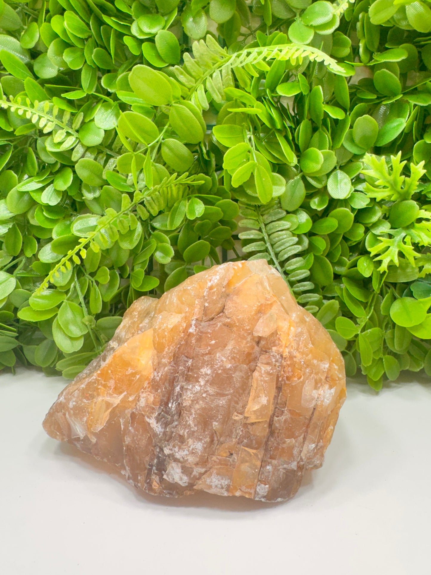 Golden Healer Raw 2680g