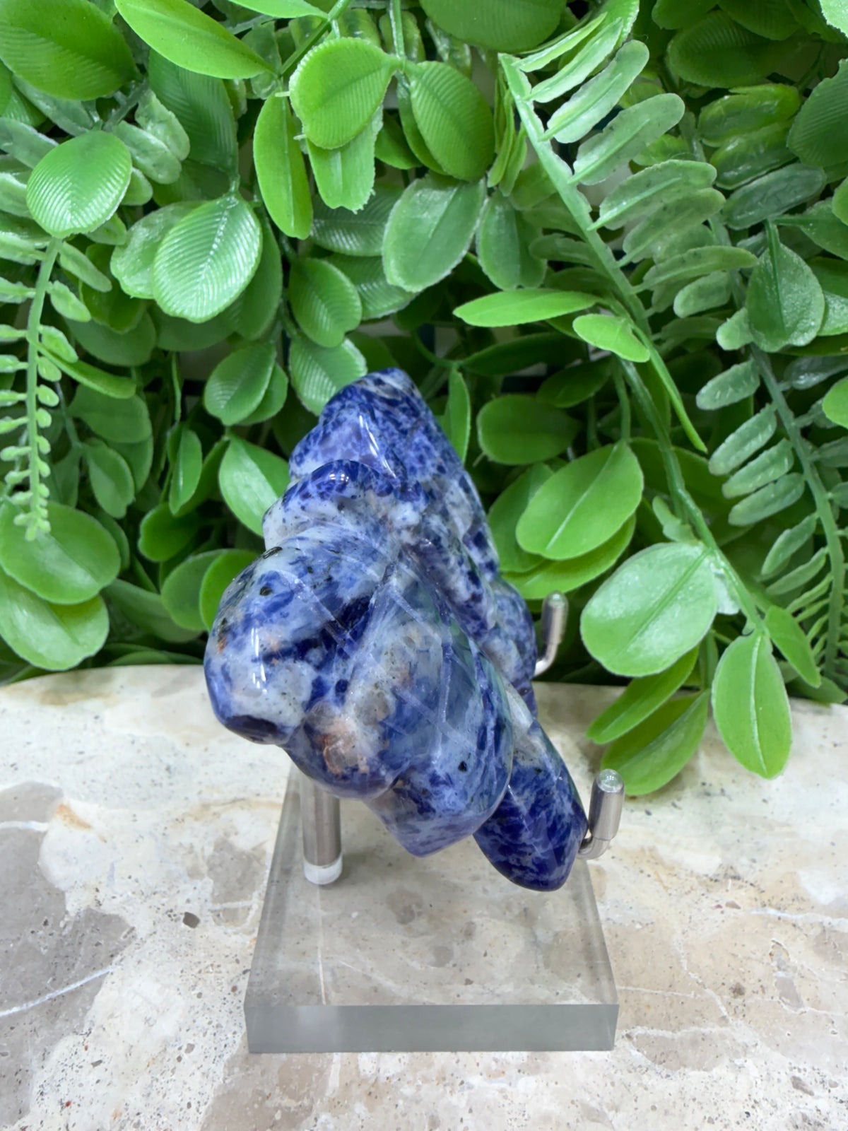 Sodalite Butterfly | Intuition • Communication • Clarity