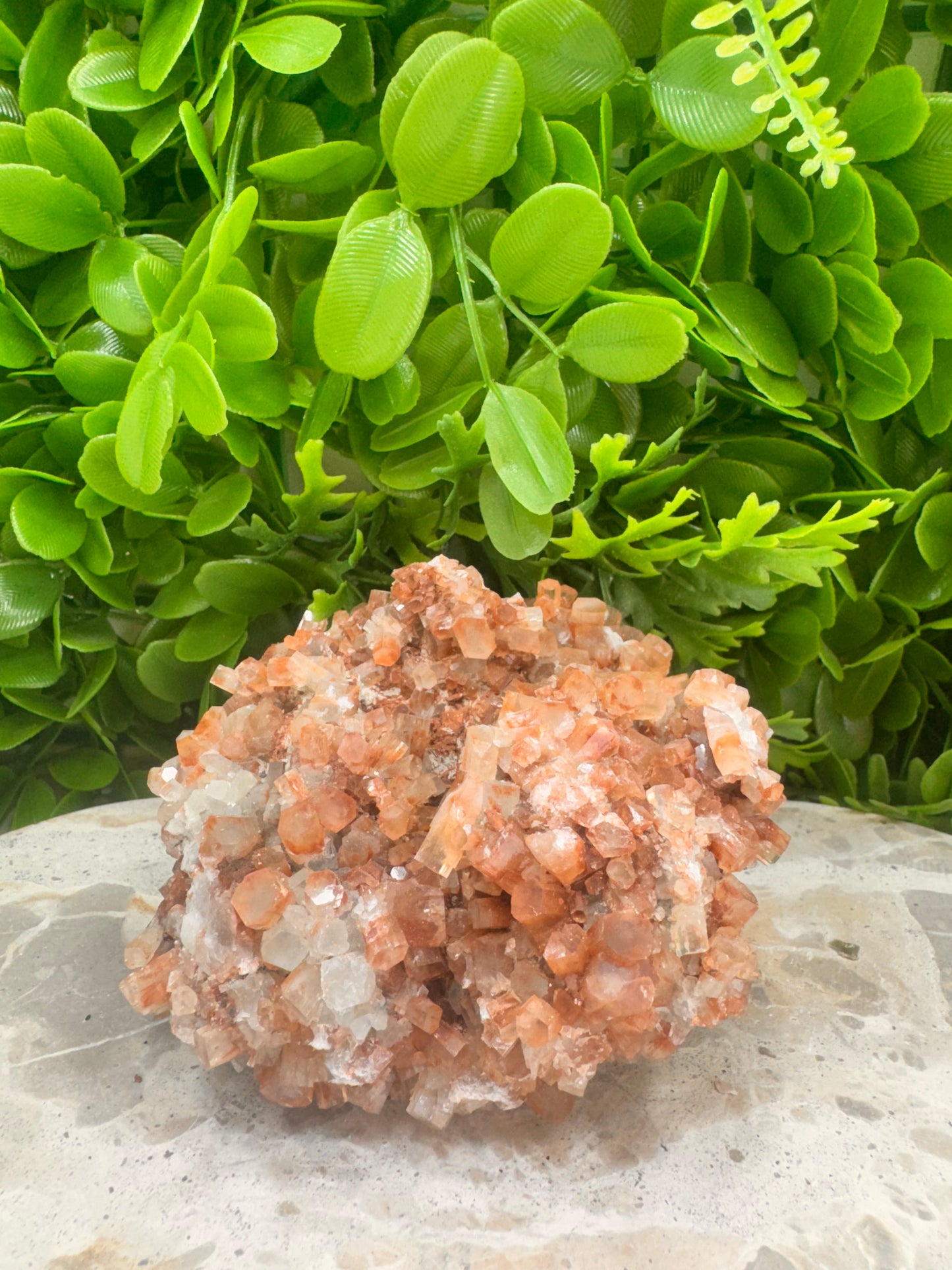 Aragonite Sputnik Freeform 786g