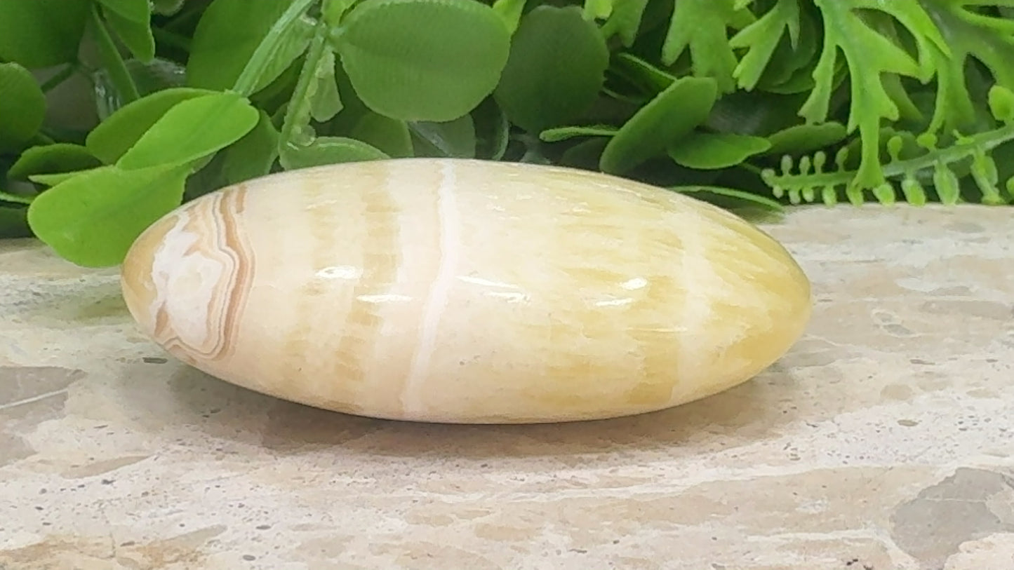 Pineapple Calcite Palm Stone 142g