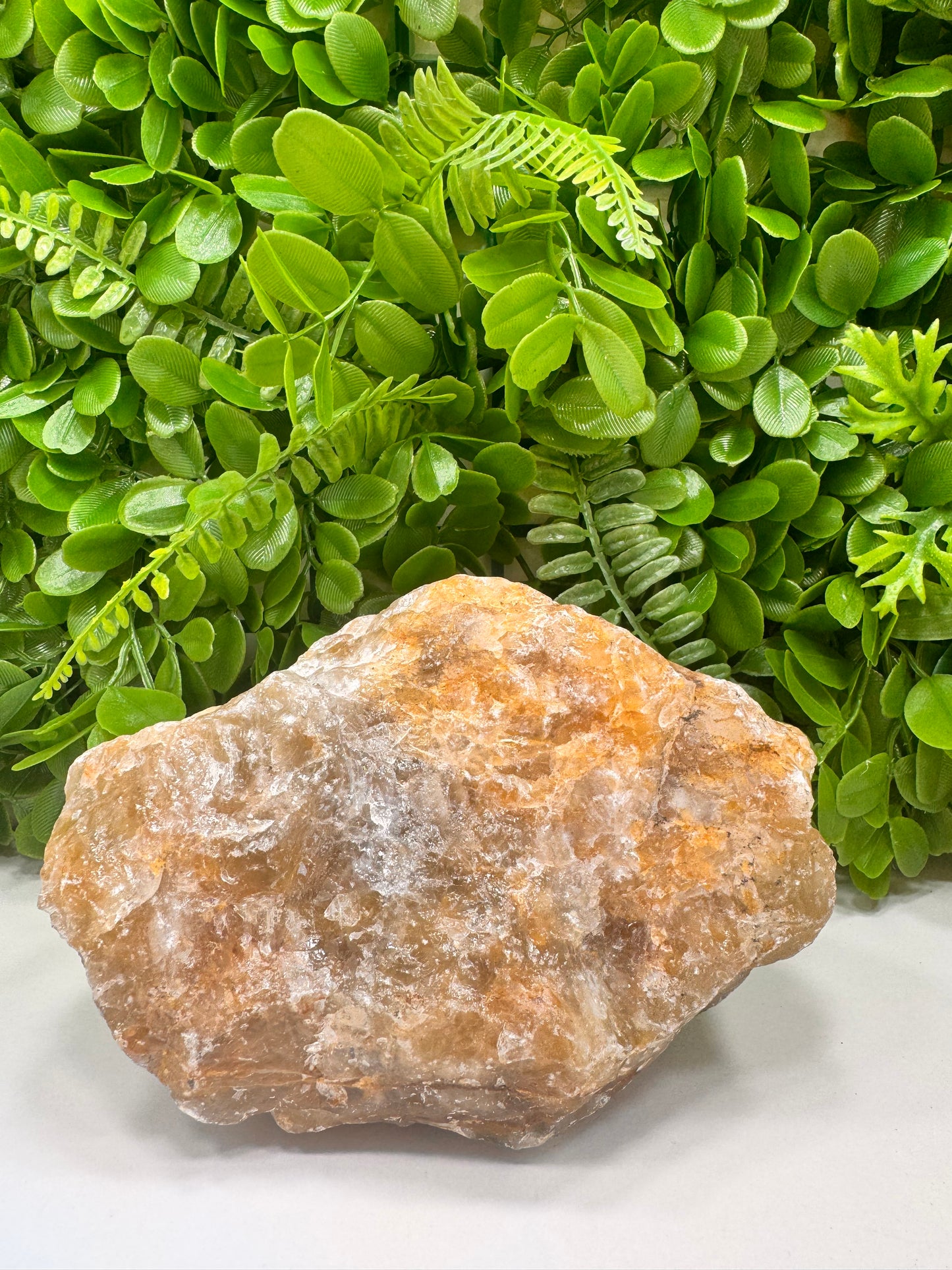 Golden Healer Raw 2060g