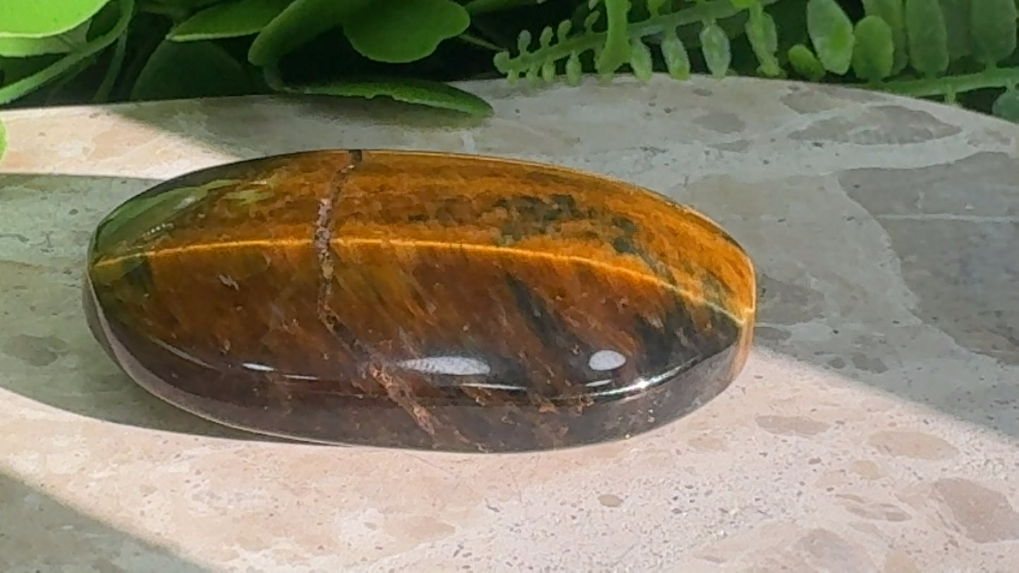 Tiger Eye Palm Stone 76g