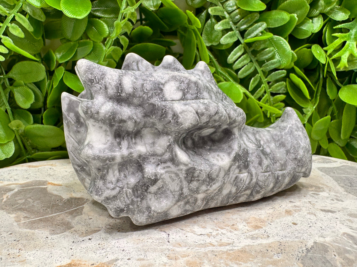 Fossil Dragon Skull 516g
