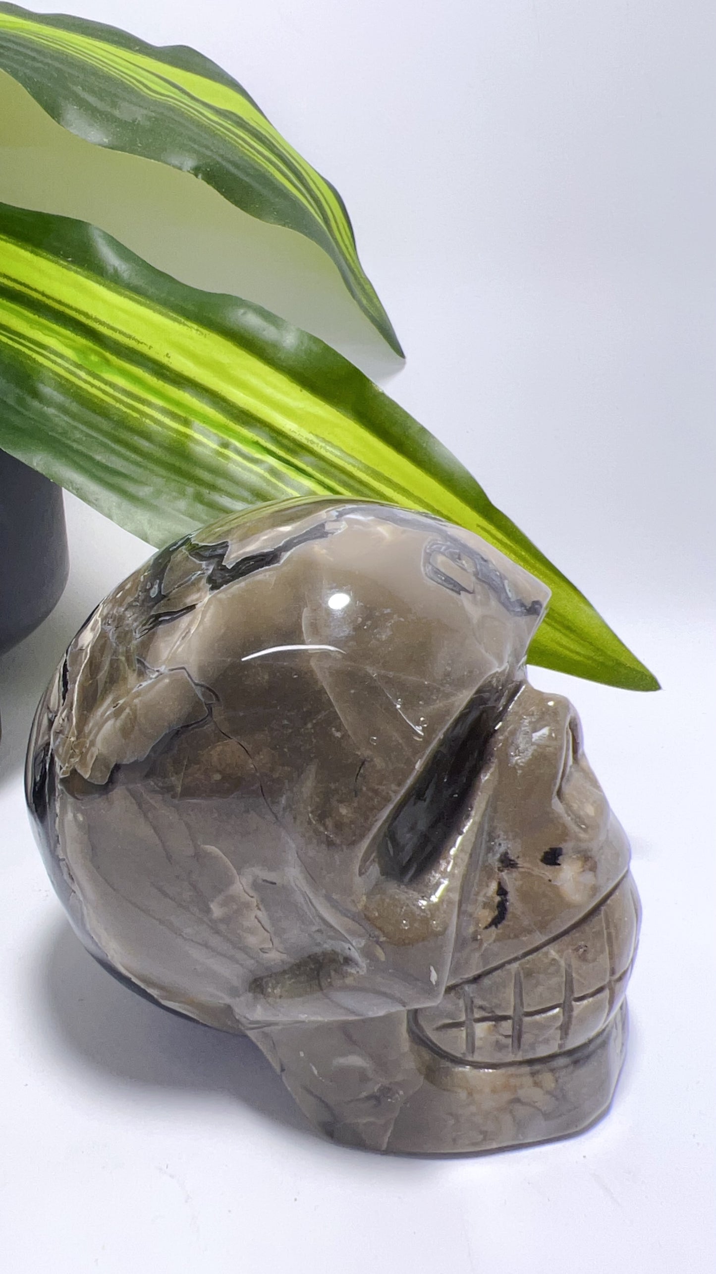 Volcanic Agate Skull 1156g