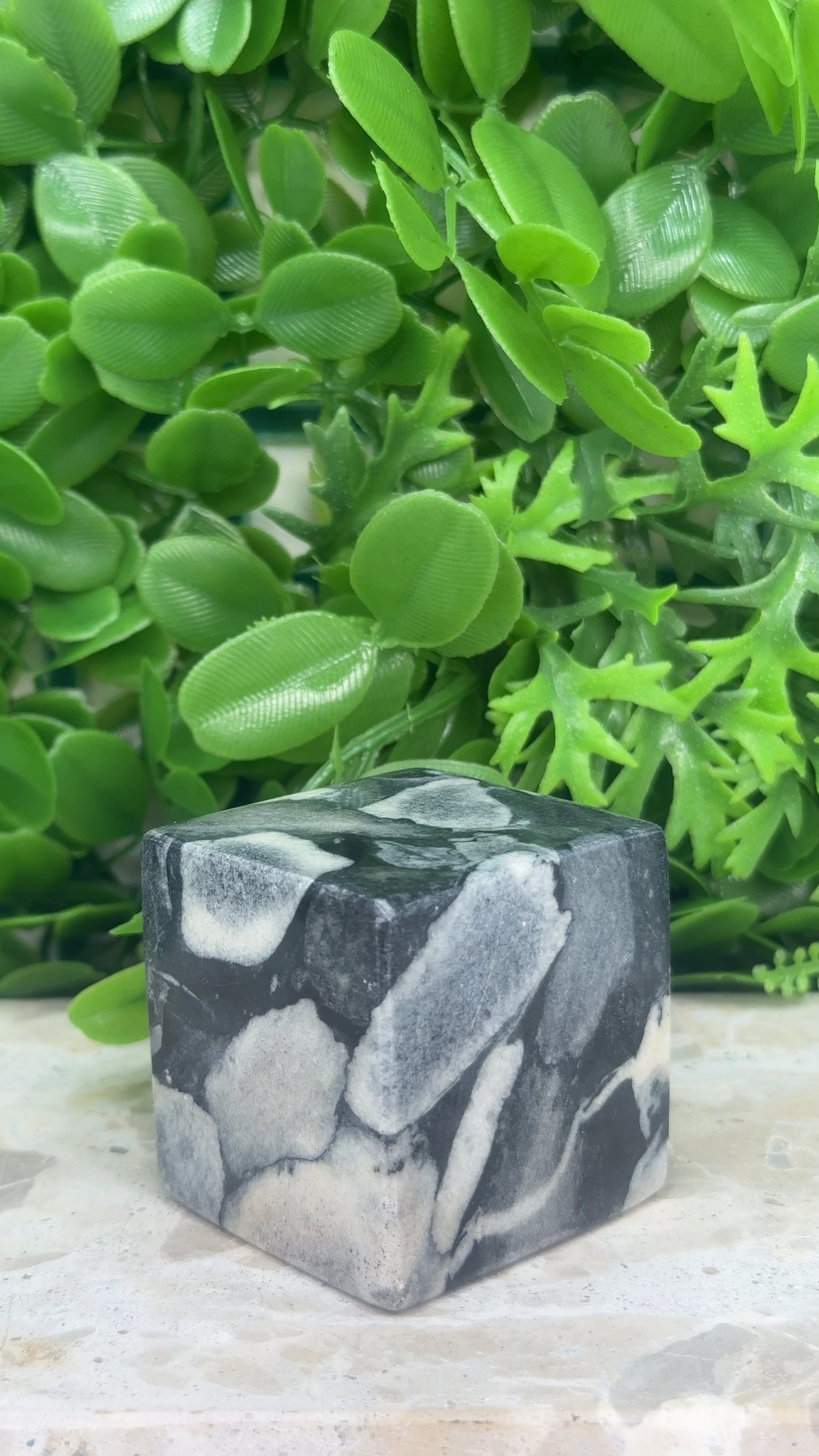 Shell Jasper Cube 320g