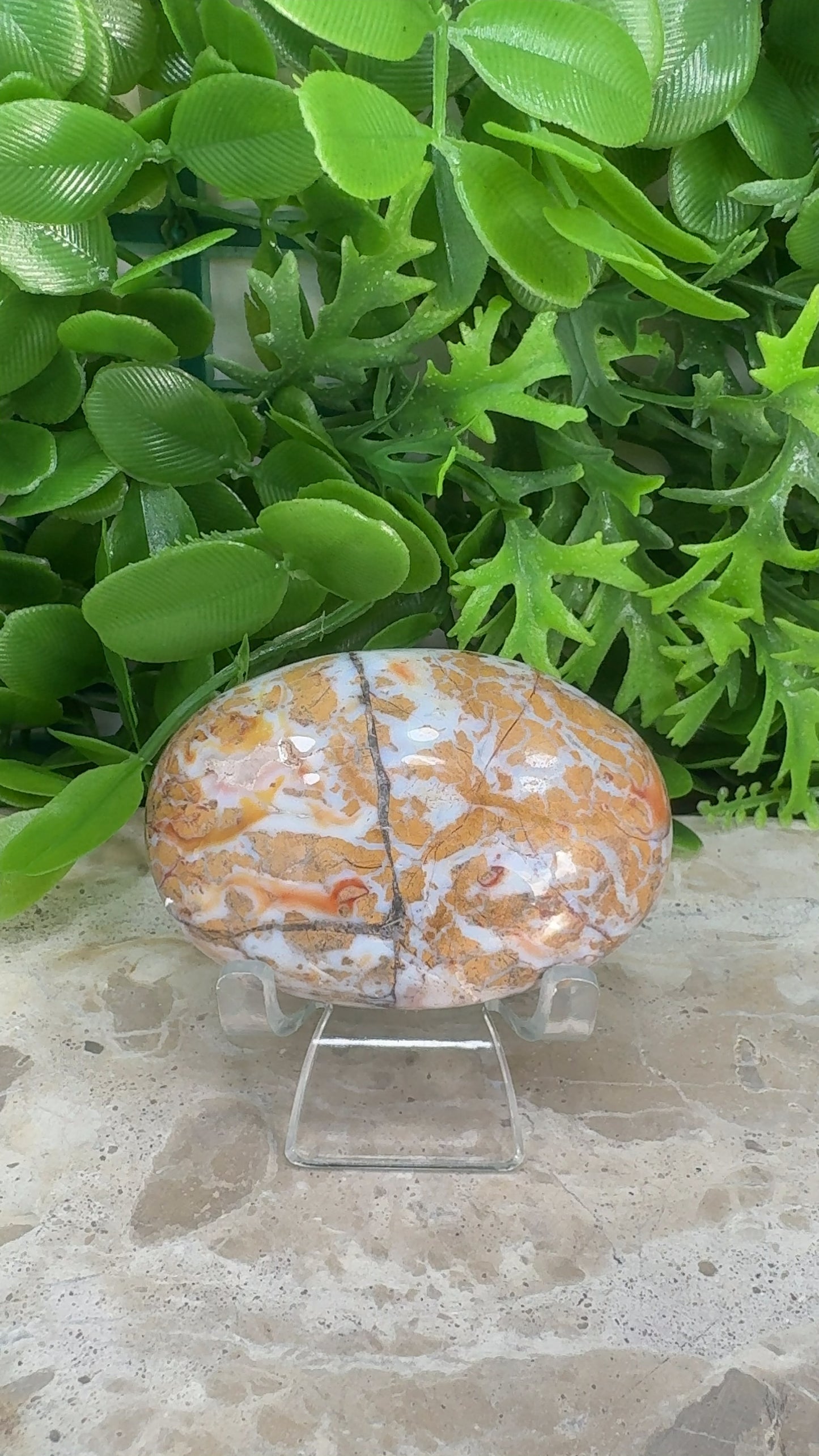 Jasper Agate Palm Stone 130g