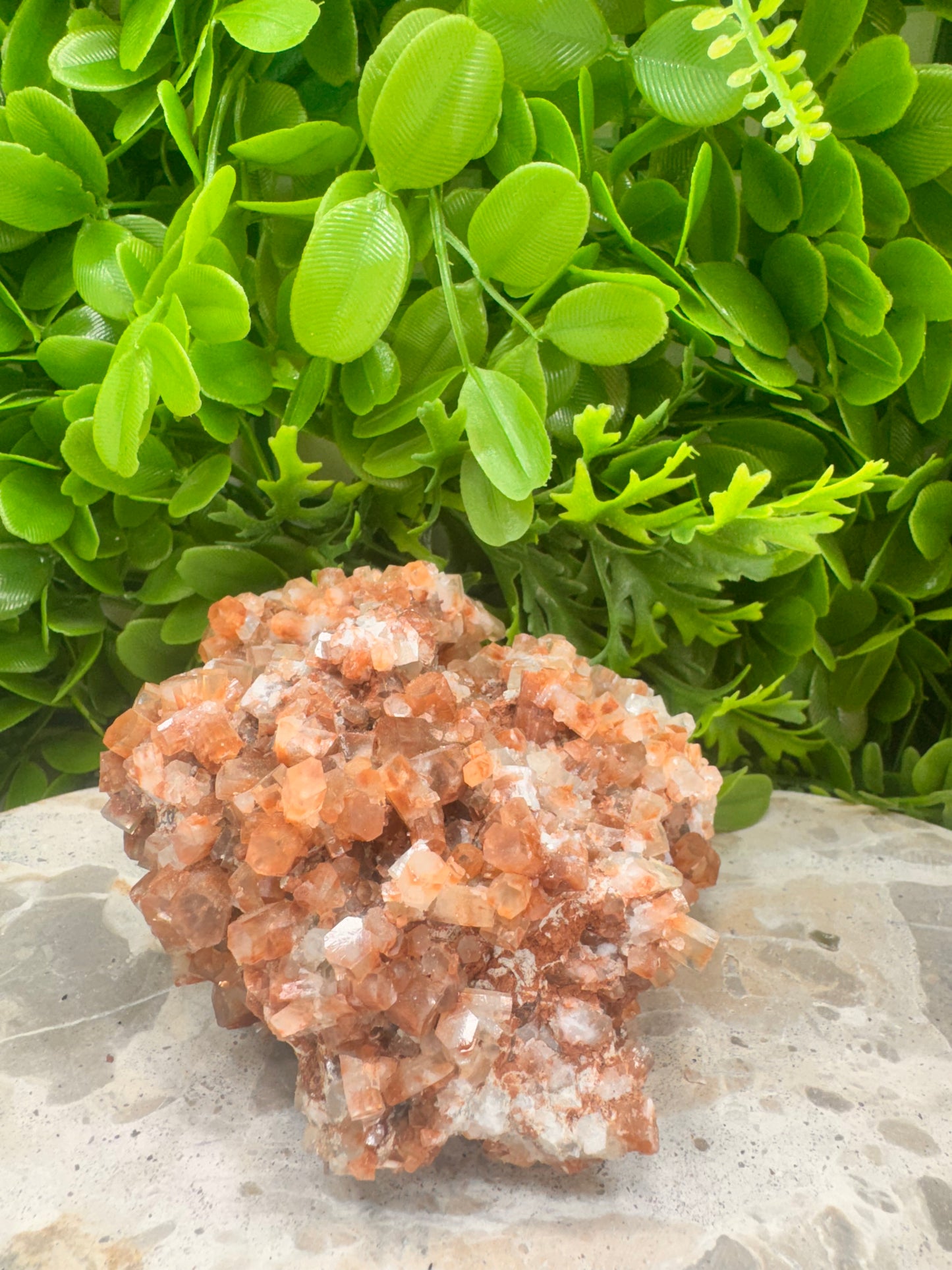 Aragonite Sputnik Freeform 786g