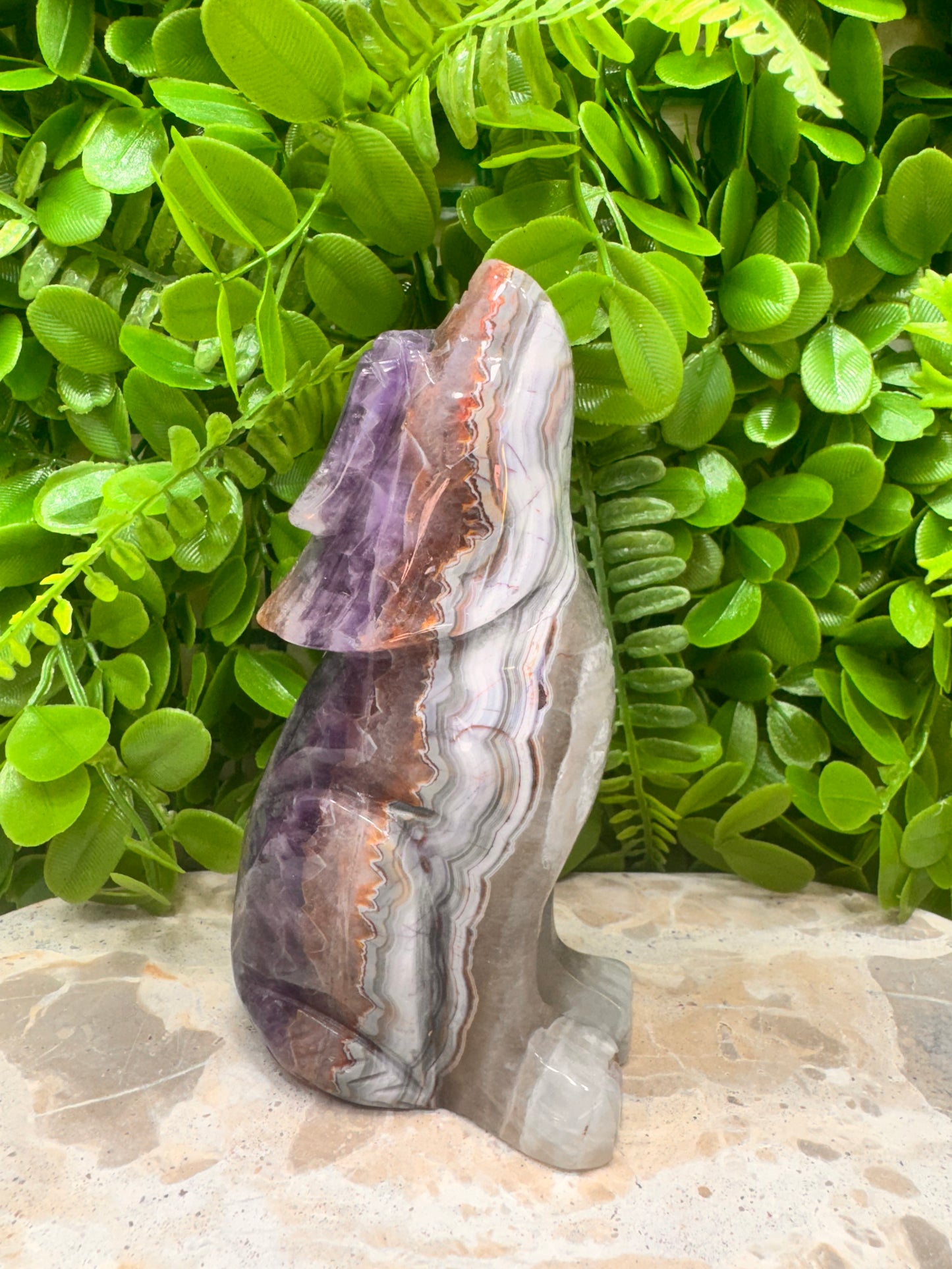 Amethyst/Mexican Agate Wolf 610g
