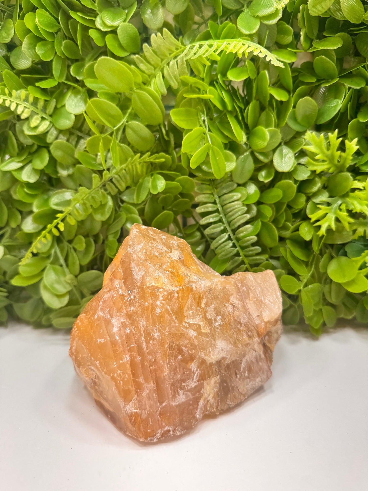 Golden Healer Raw 2680g