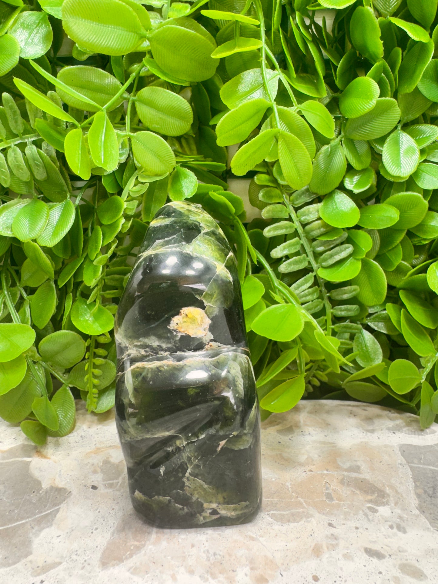 Nephrite Jade Freeform 322g