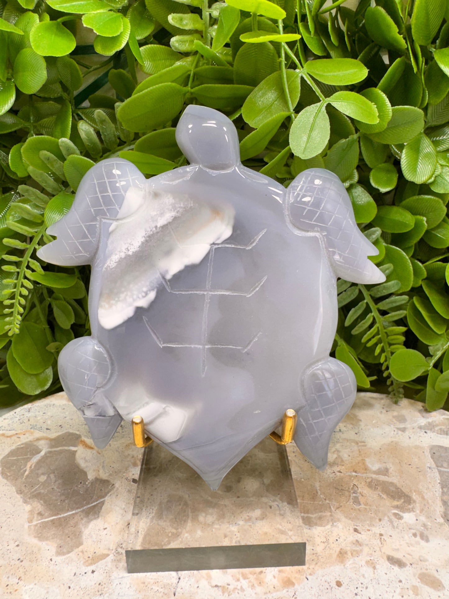 Druzy Agate Turtle 280g