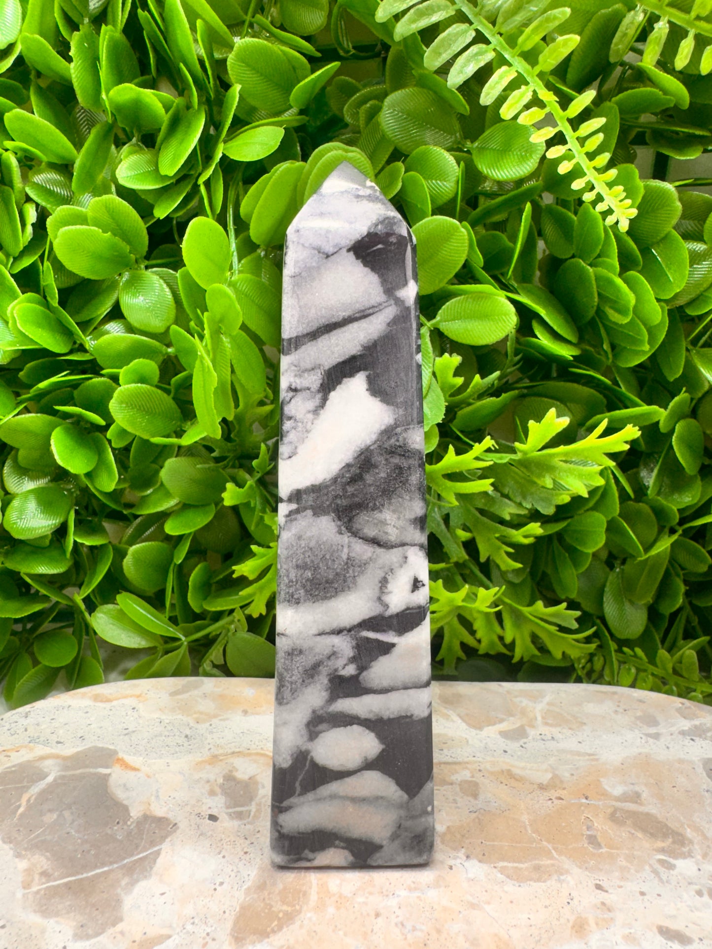 Shell Jasper Tower 420g