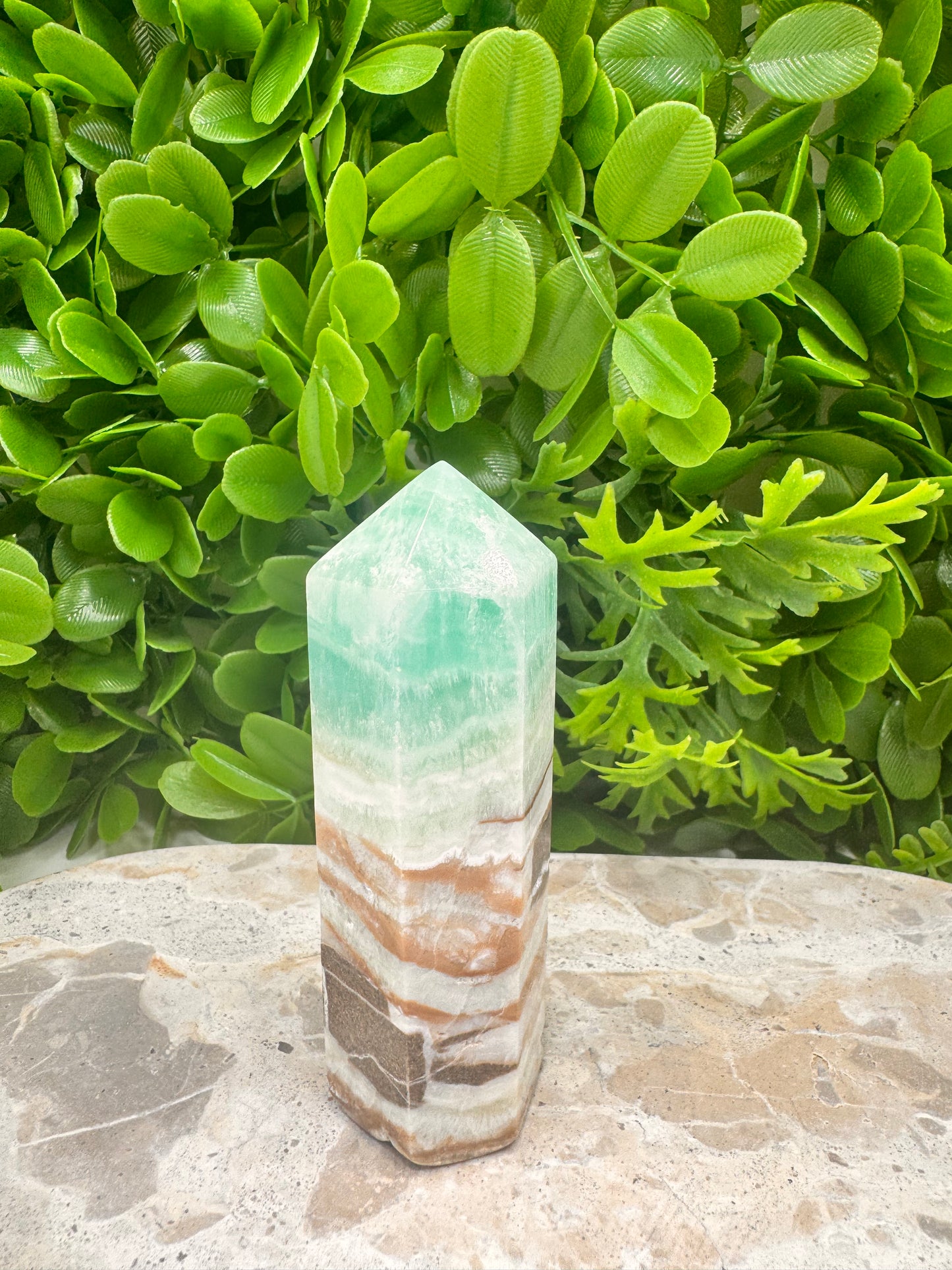 Aragonite PT 214g