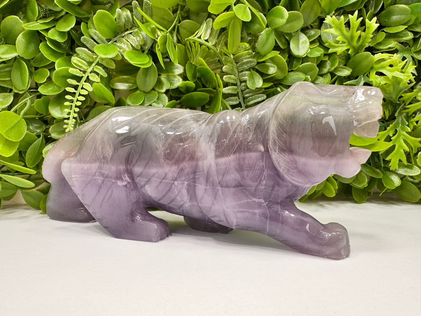 Fluorite Tiger 1498g