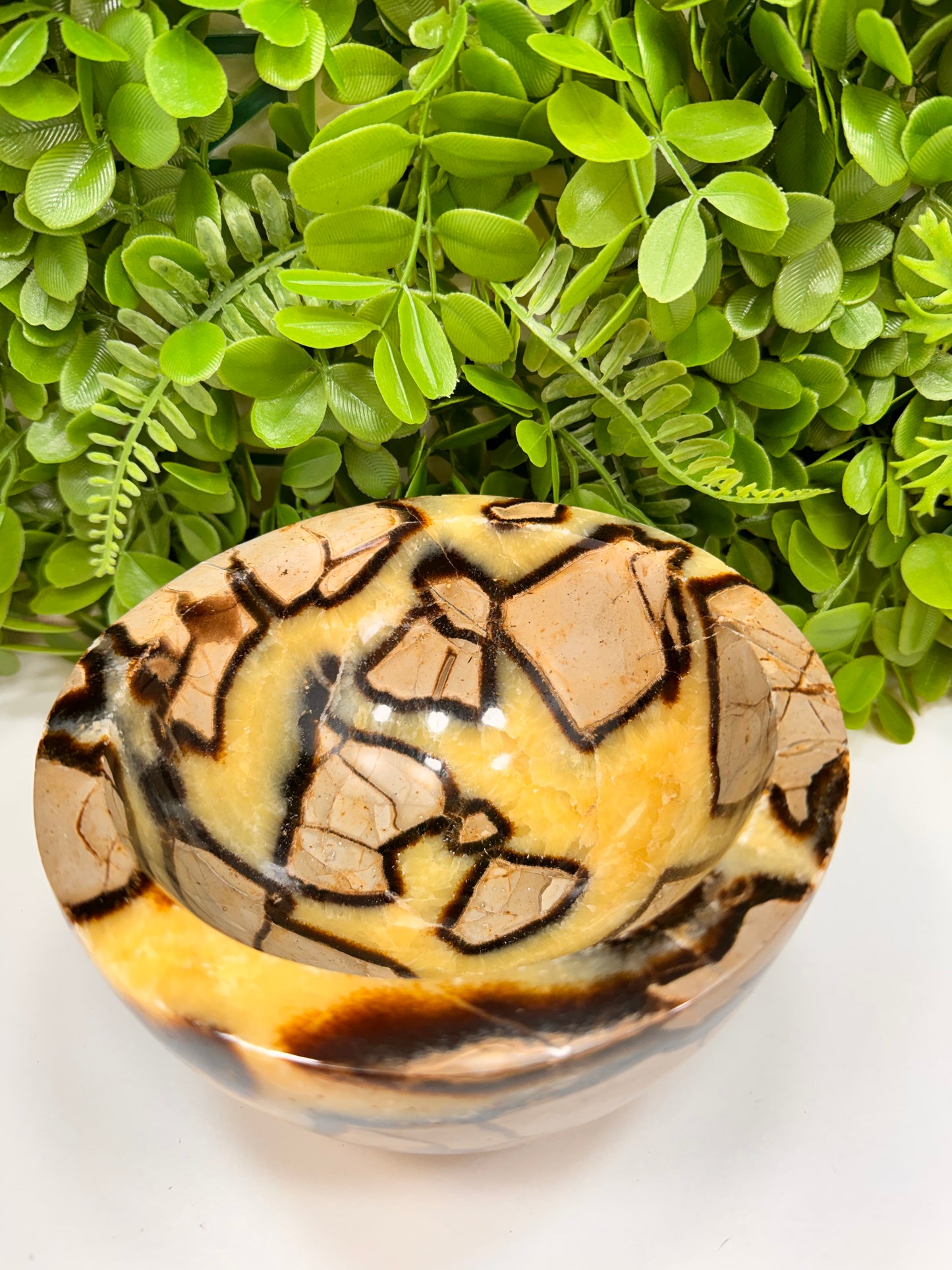Septarian Dragon Stone Bowl 2488g