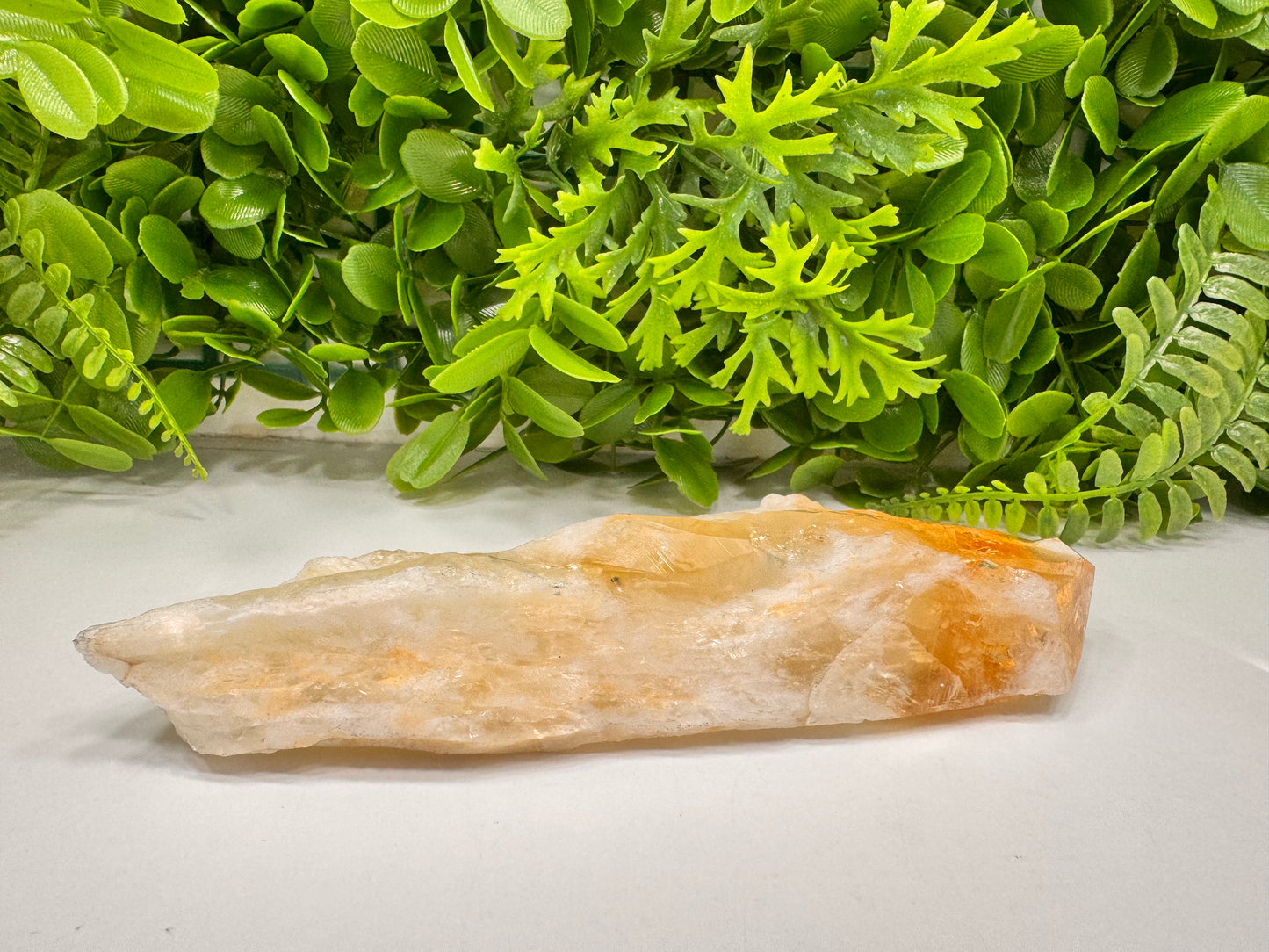 Citrine Septre Freeform 504g