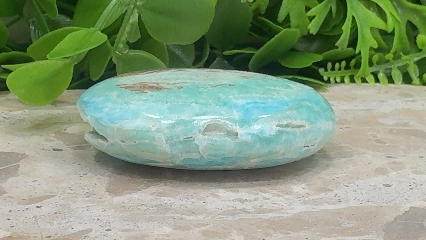 Aragonite Palm Stone 108g