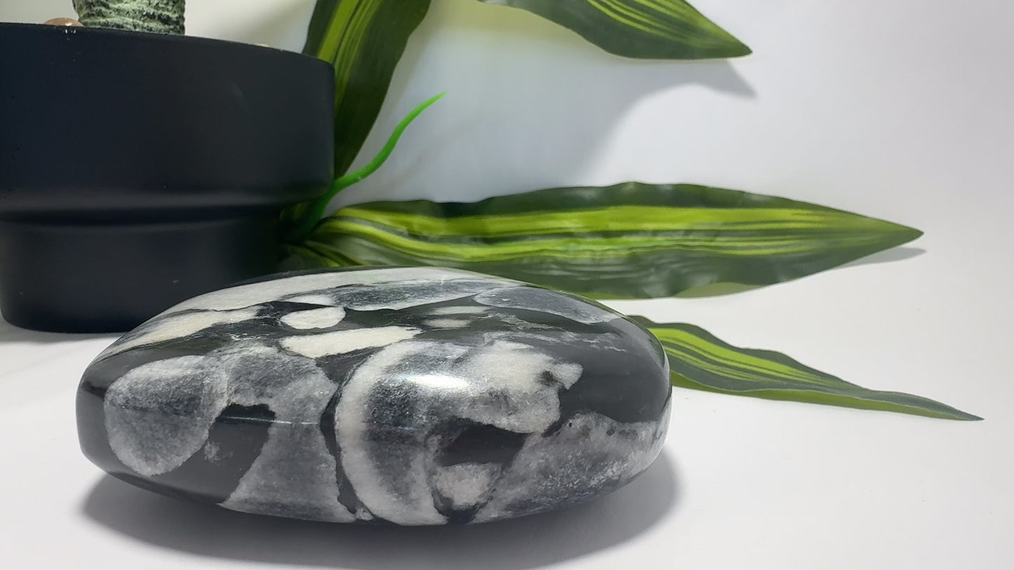 Shell Jasper Heart 738g