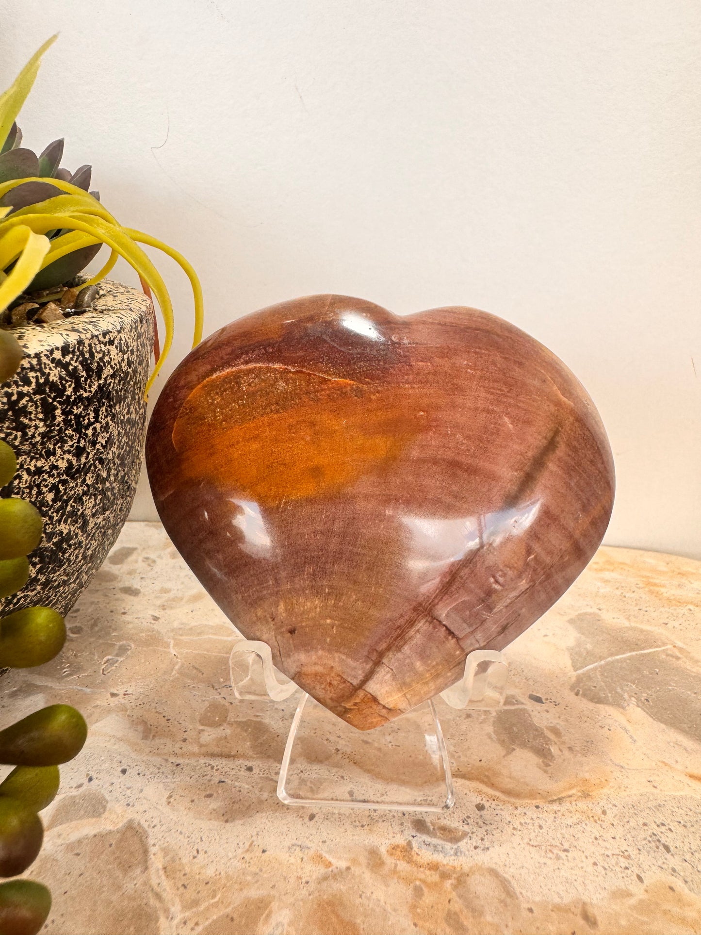 Petrified Wood Heart 266g