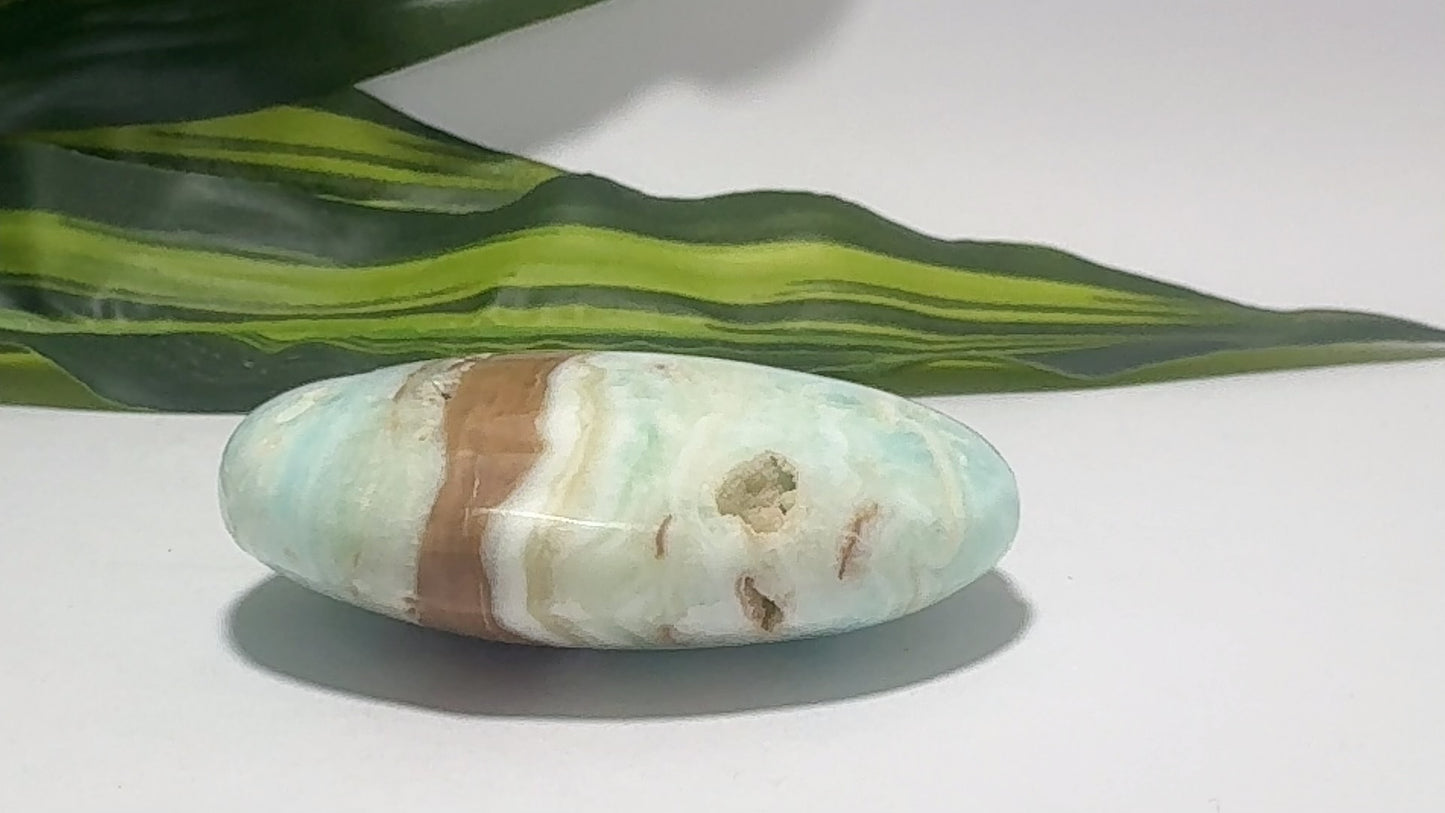 Blue Caribbean Calcite Palm Stone 126g