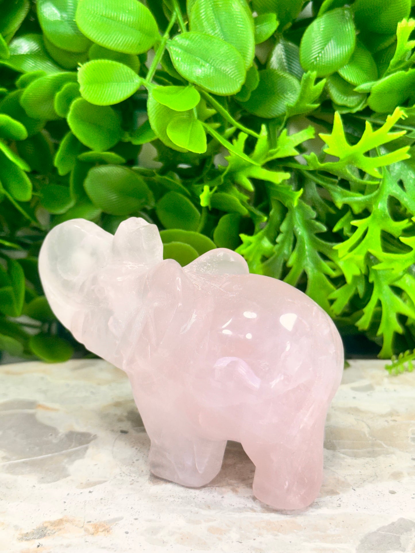 Rose Quartz Elephant 312g