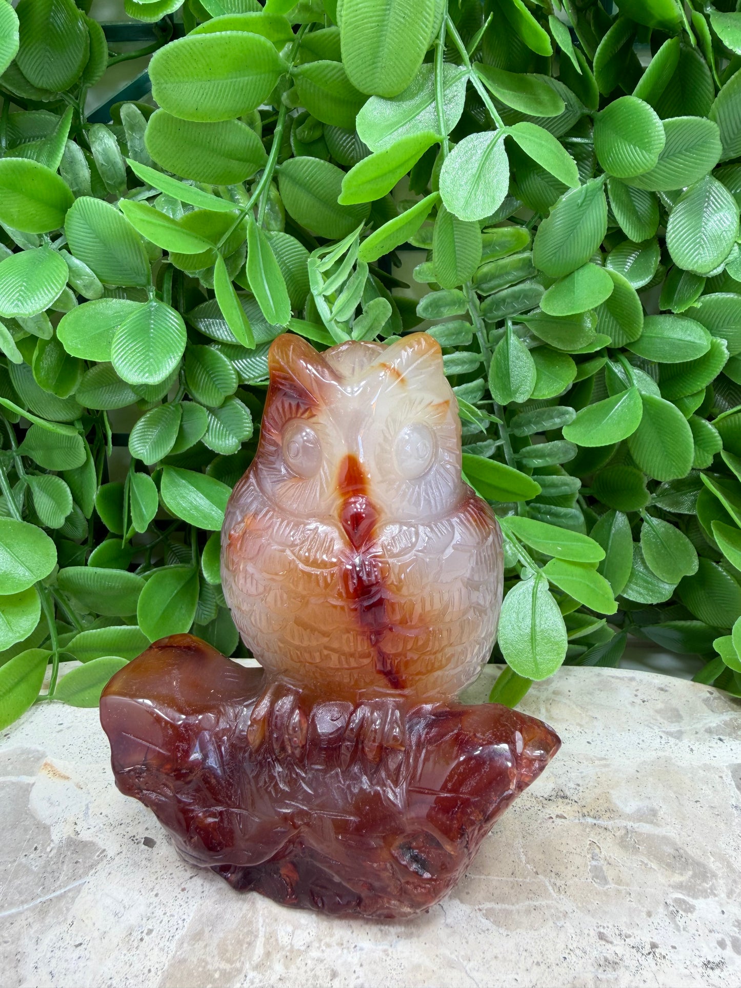 Carnelian Owl 480g