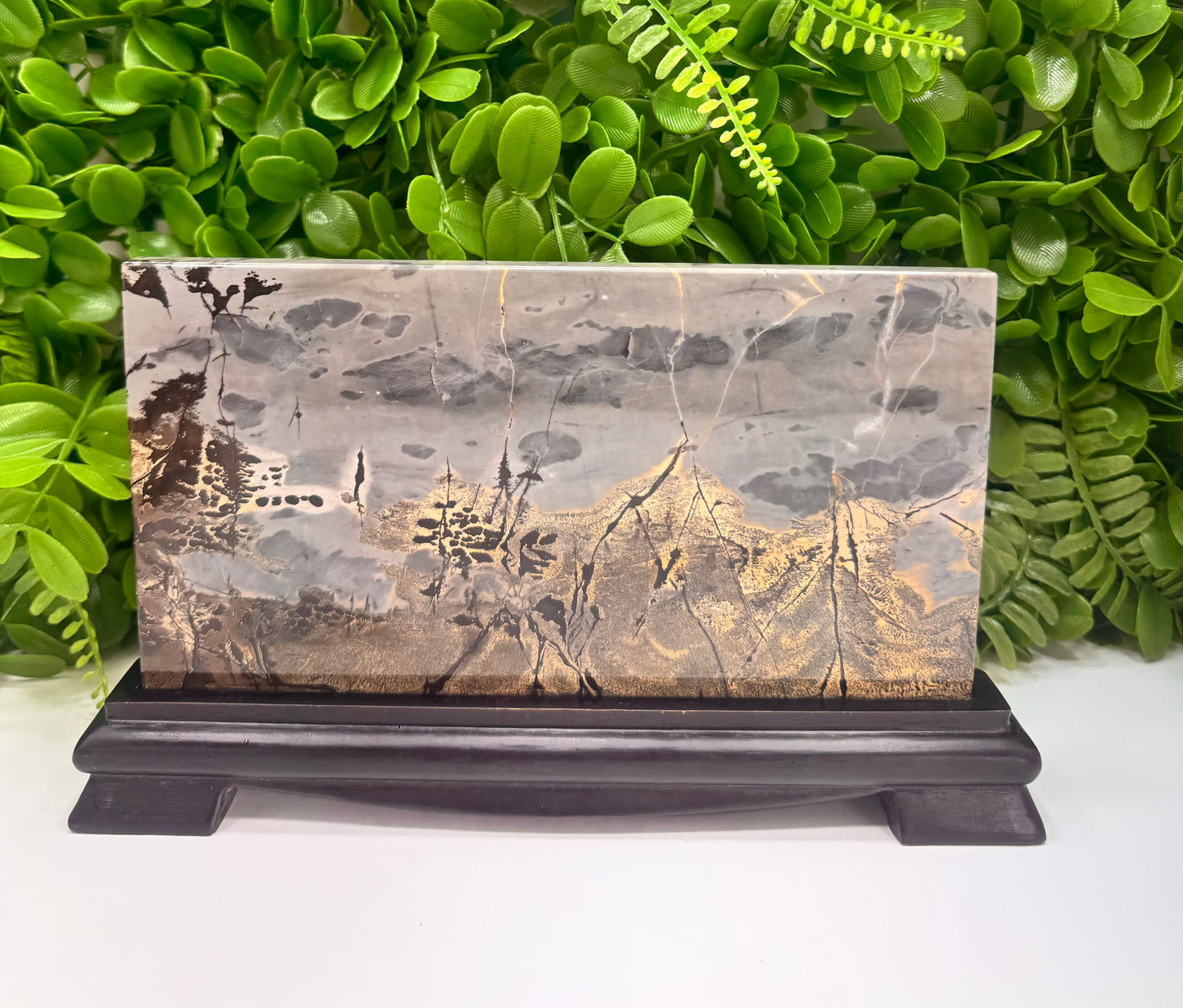 Picture Jasper in Stand 840g