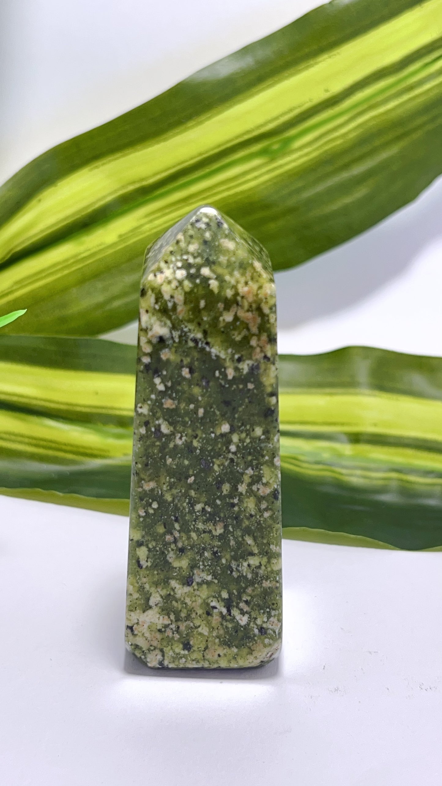 Dotted Serpentine Point 138g
