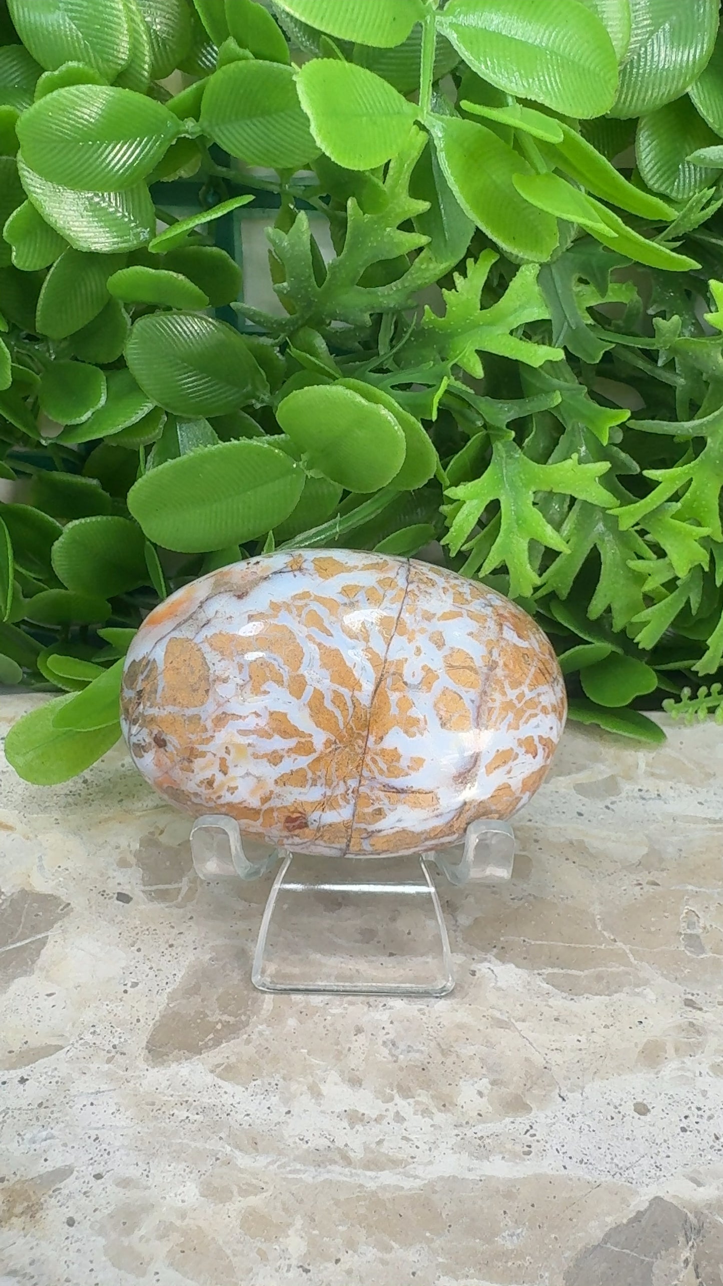 Jasper Agate Palm Stone 130g