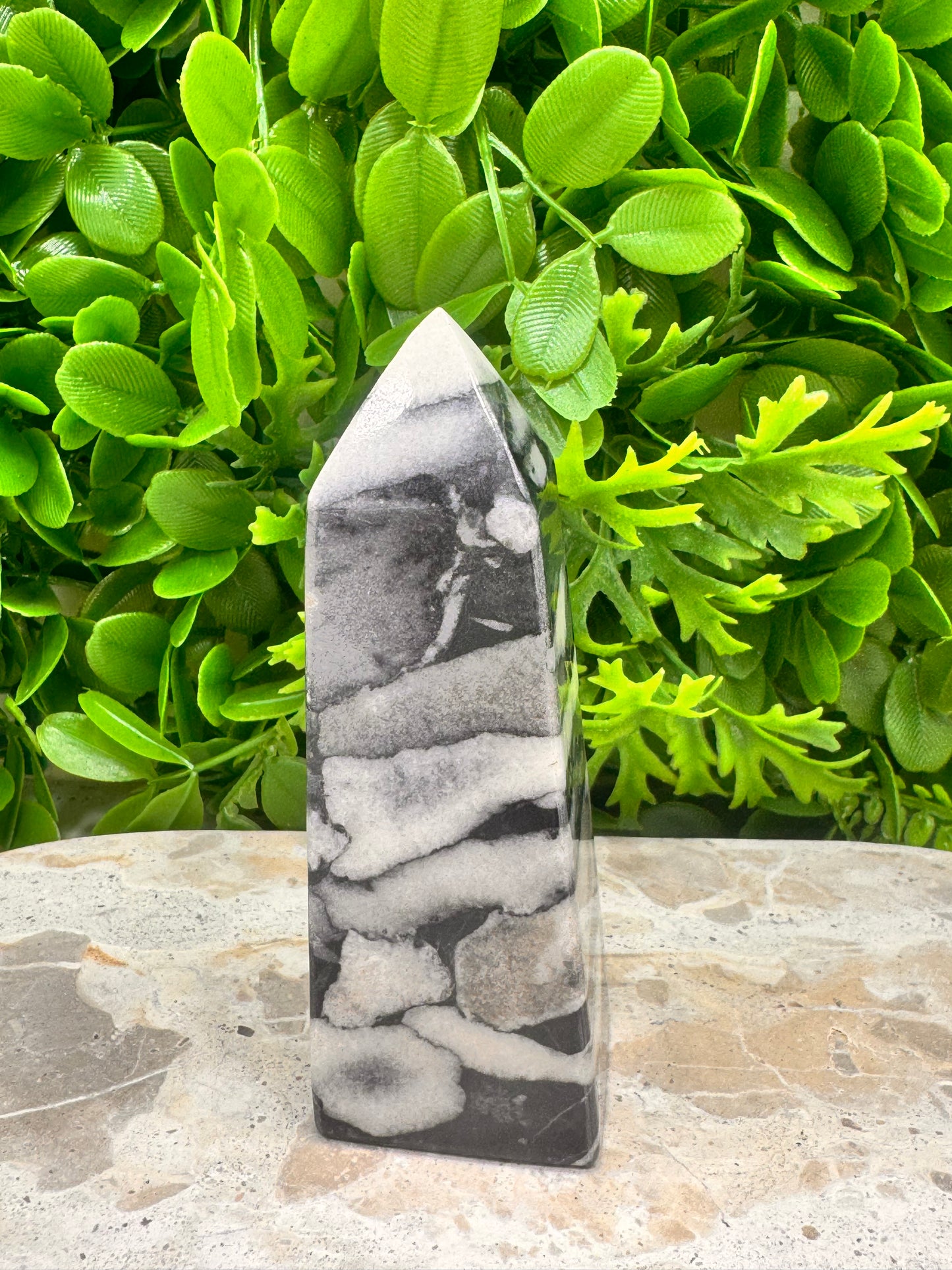Shell Jasper Tower 278g