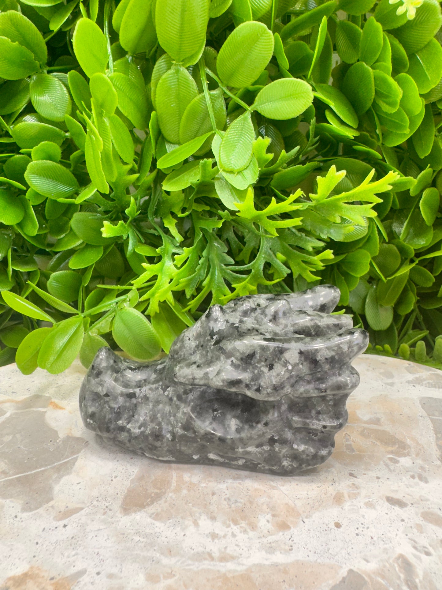 Larvikite Dragon Skull 308g
