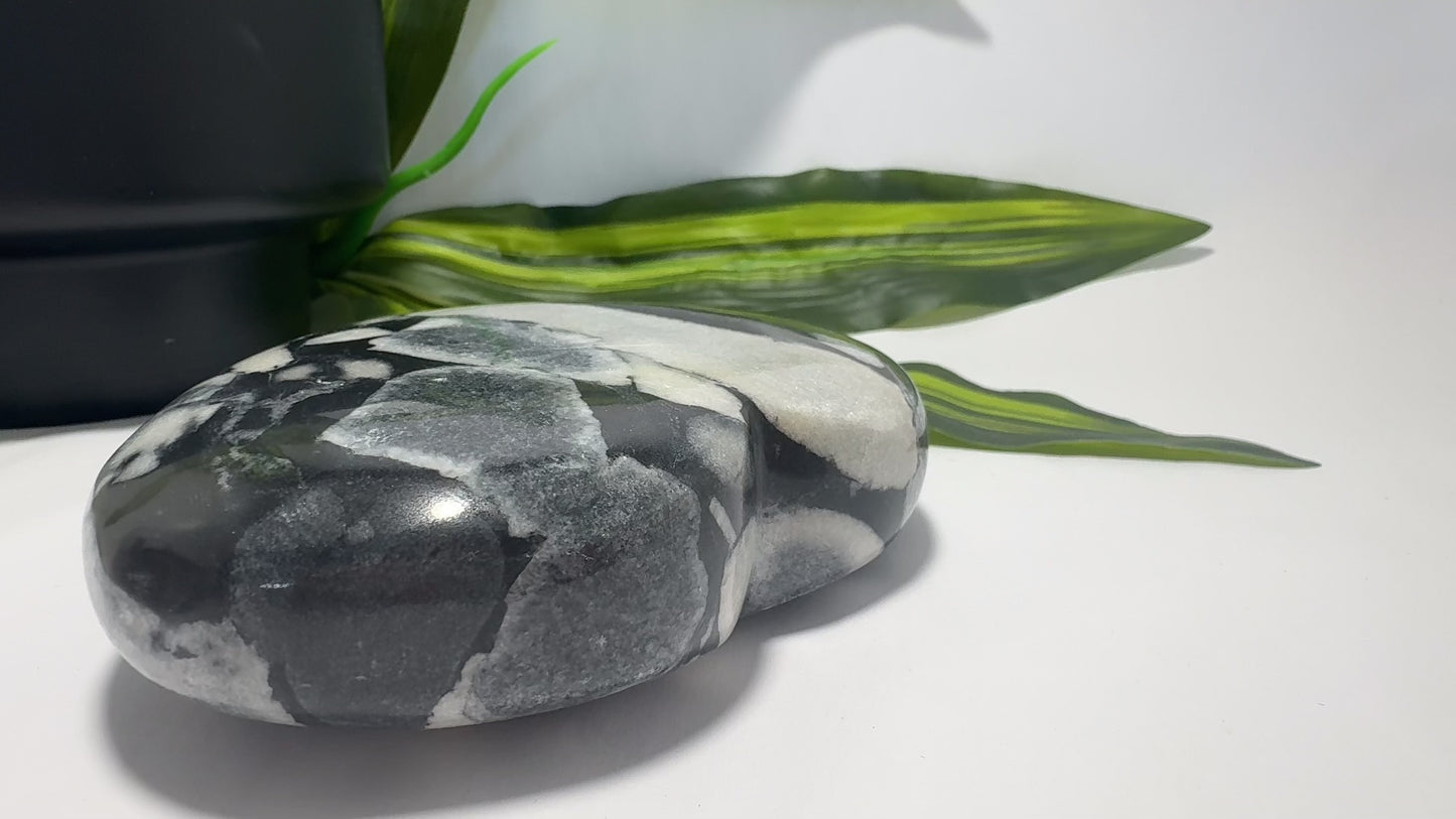Shell Jasper Heart 738g