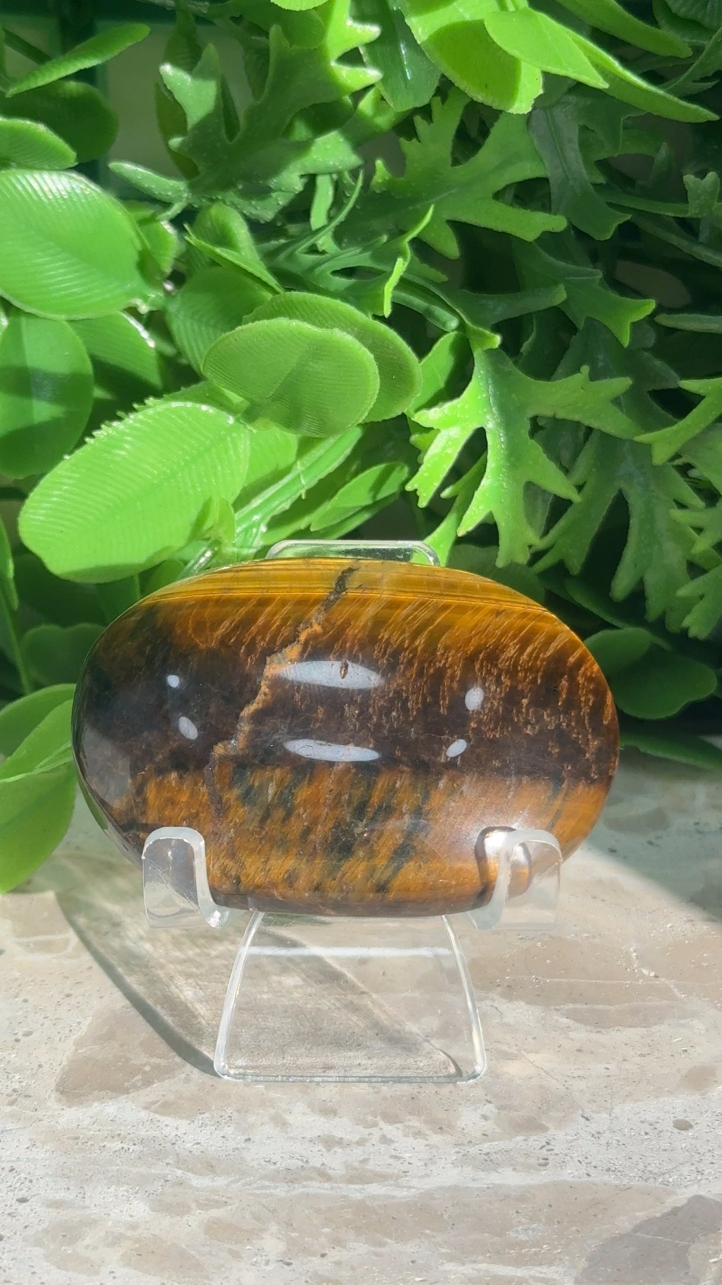 Tiger Eye Palm Stone 76g