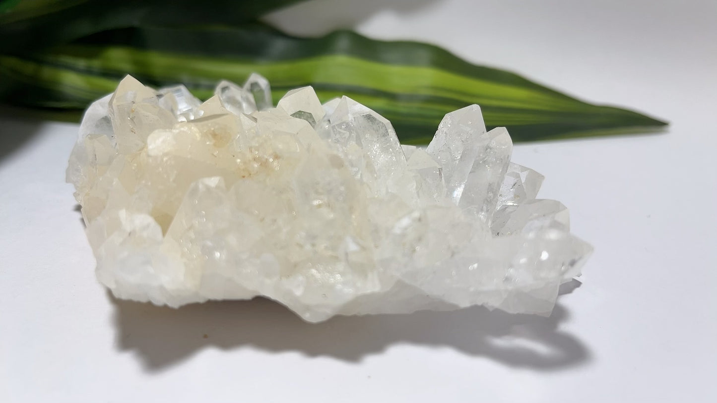 Clear Quartz Cluster 266g