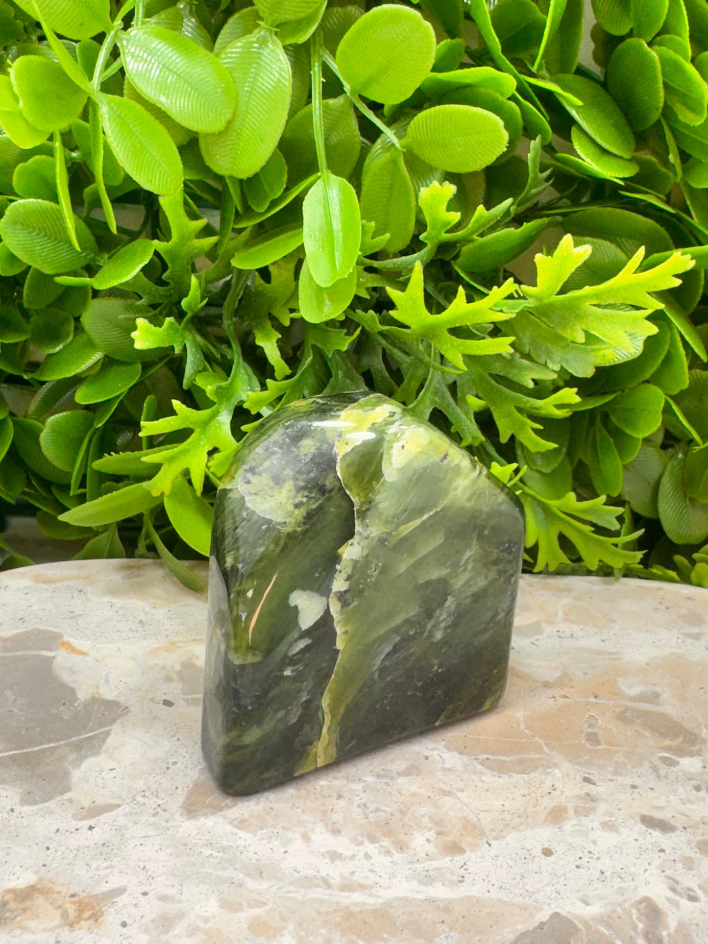 Nephrite Jade Freeform 238g