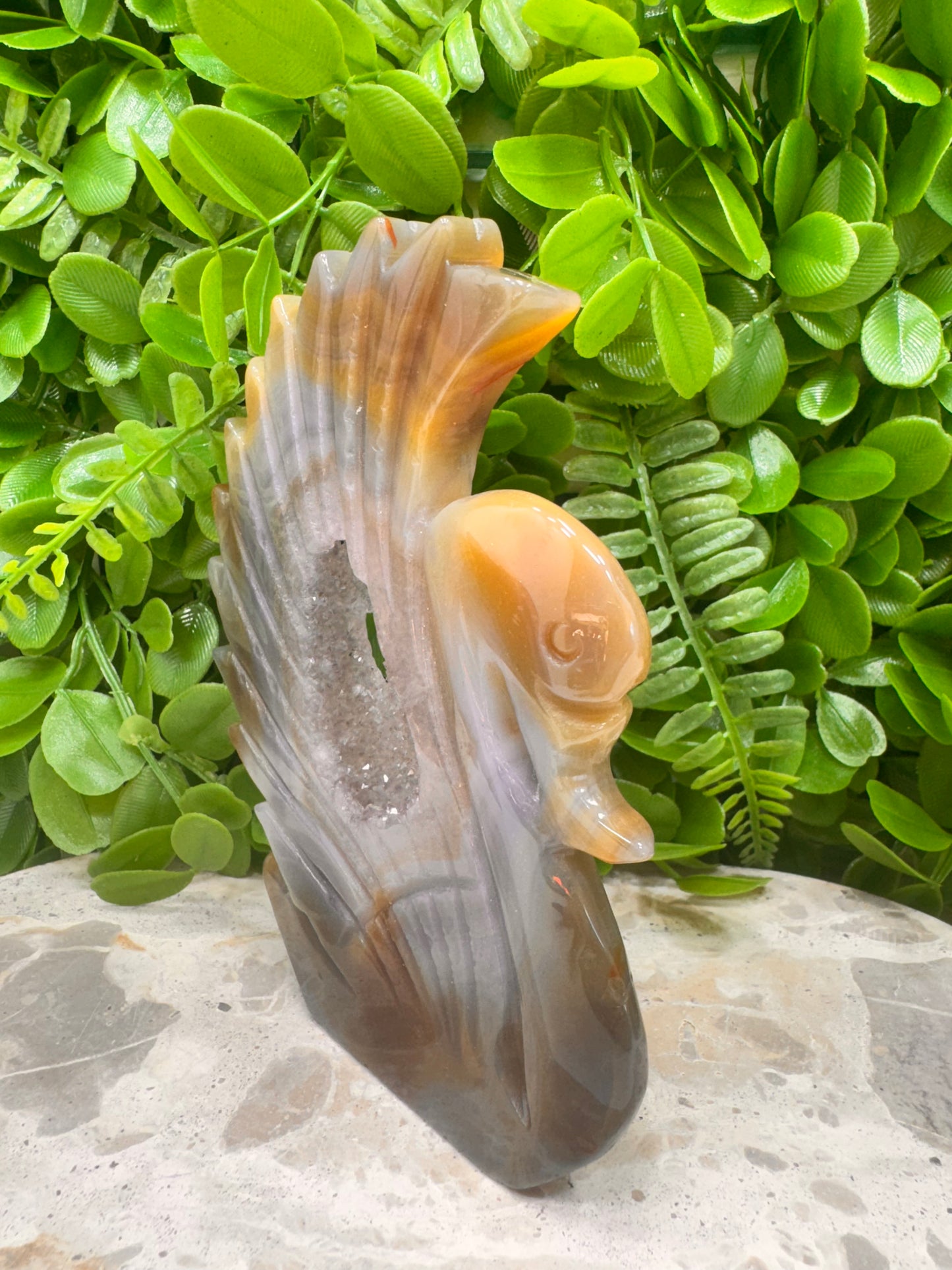 Agate Druzy Swan 312g