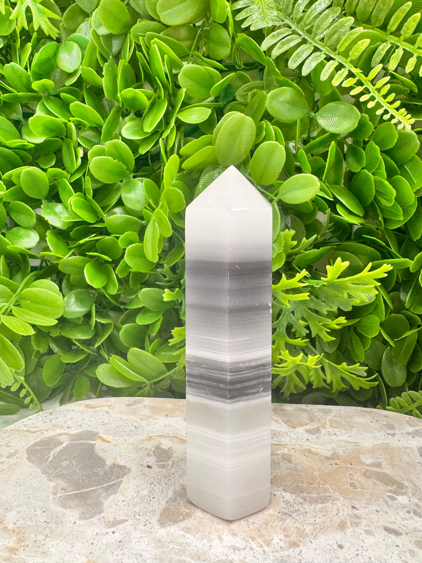 Black and White Tower 318g