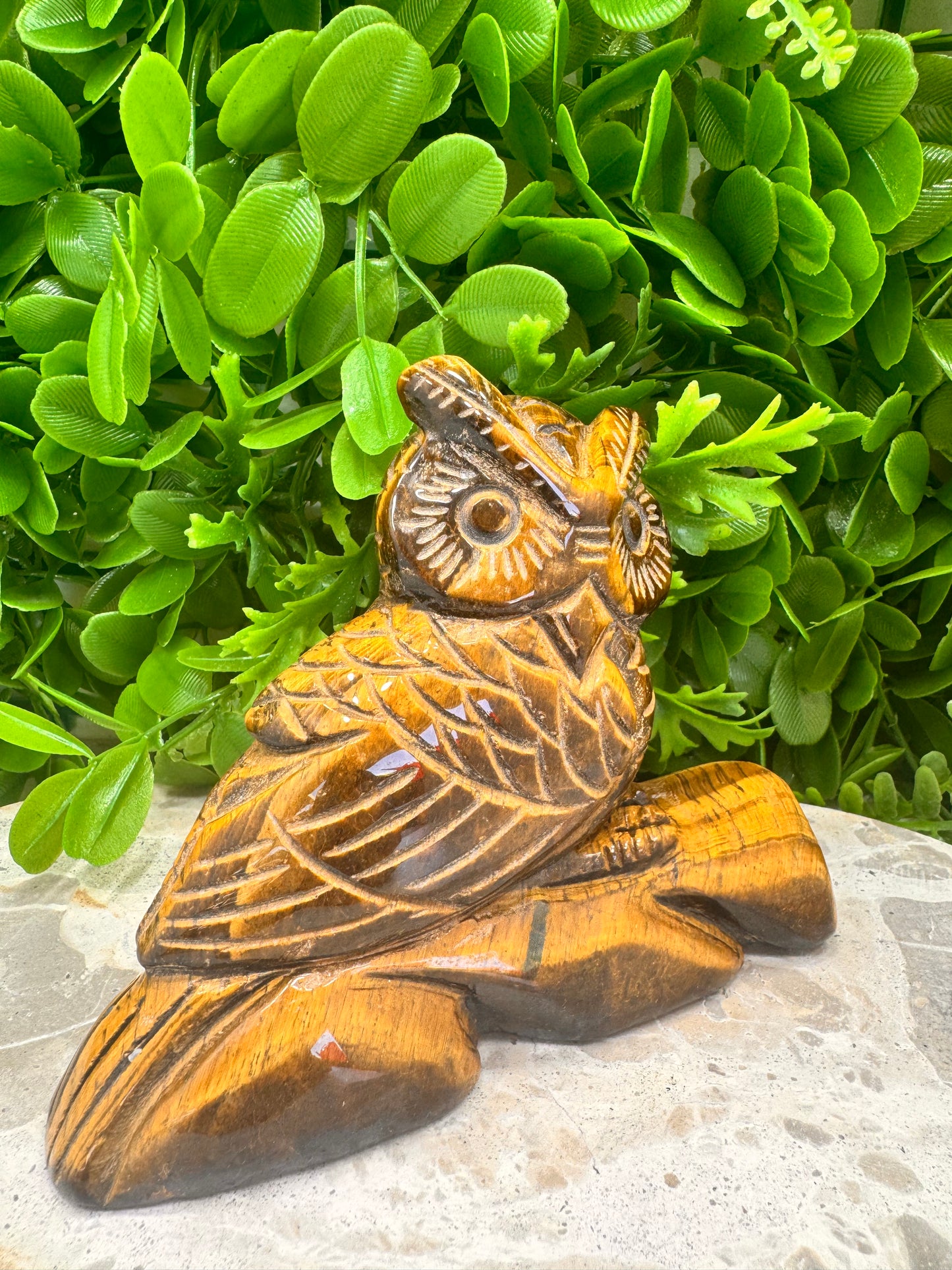 Tiger Eye Owl on a Log 590g