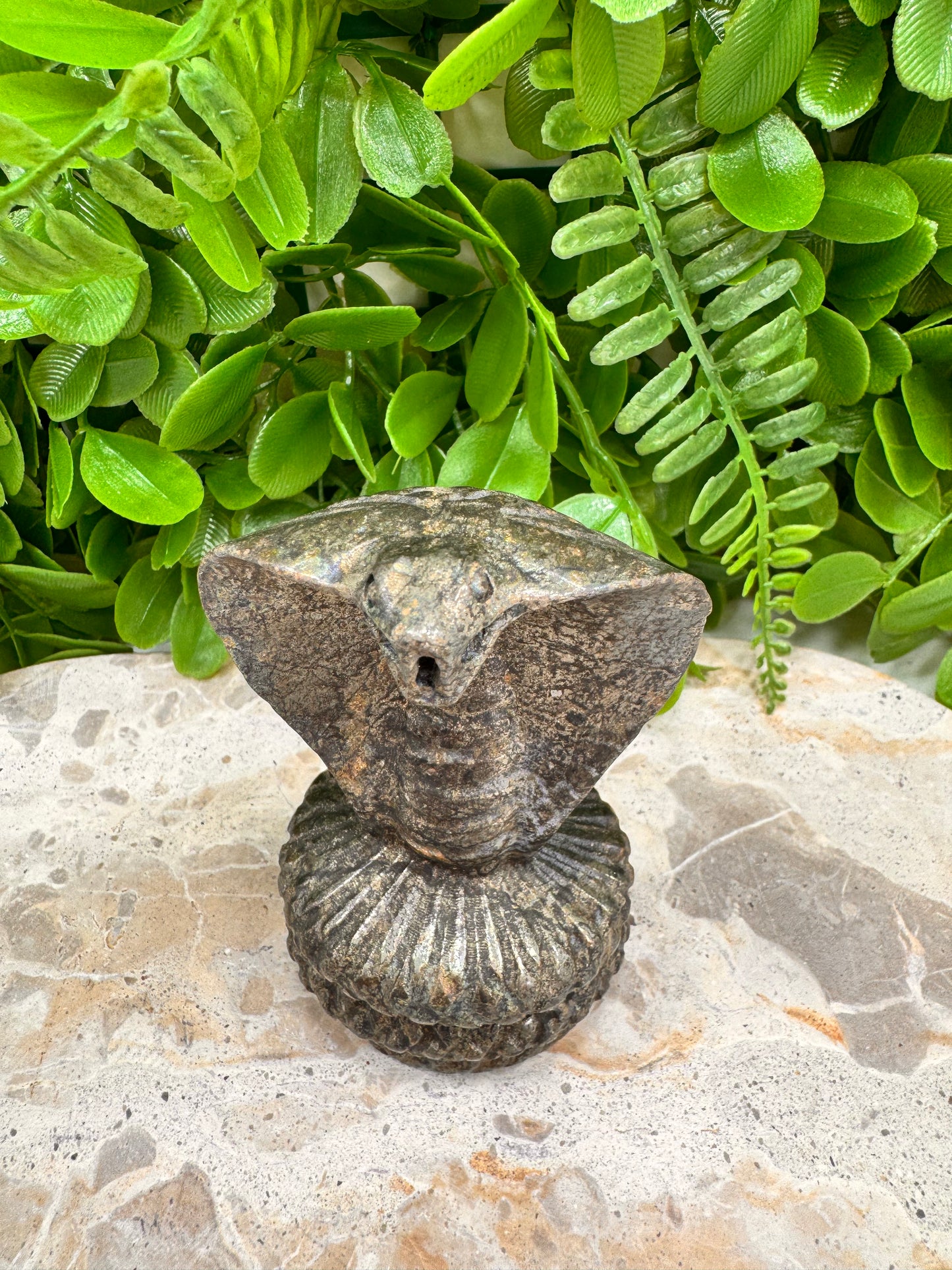 Pyrite Cobra 418g