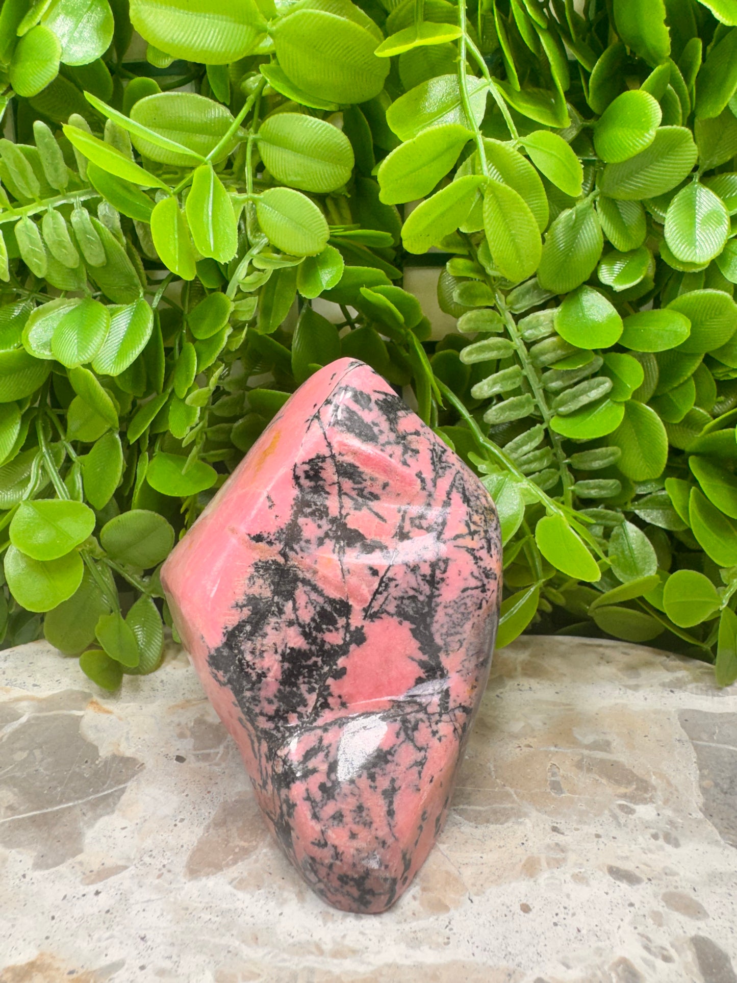 Rhodonite Freeeform 730g