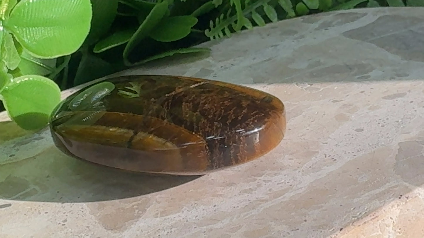 Tiger Eye Palm Stone 76g