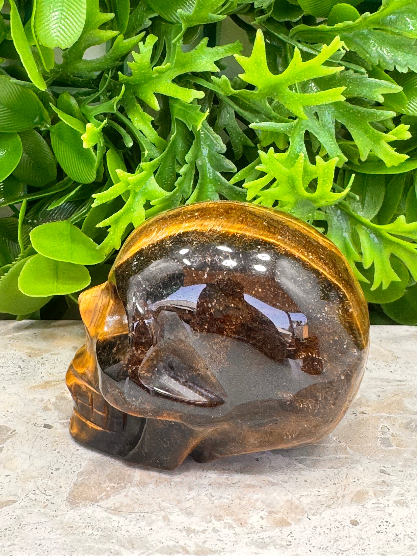 Tiger Eye Skull 386g