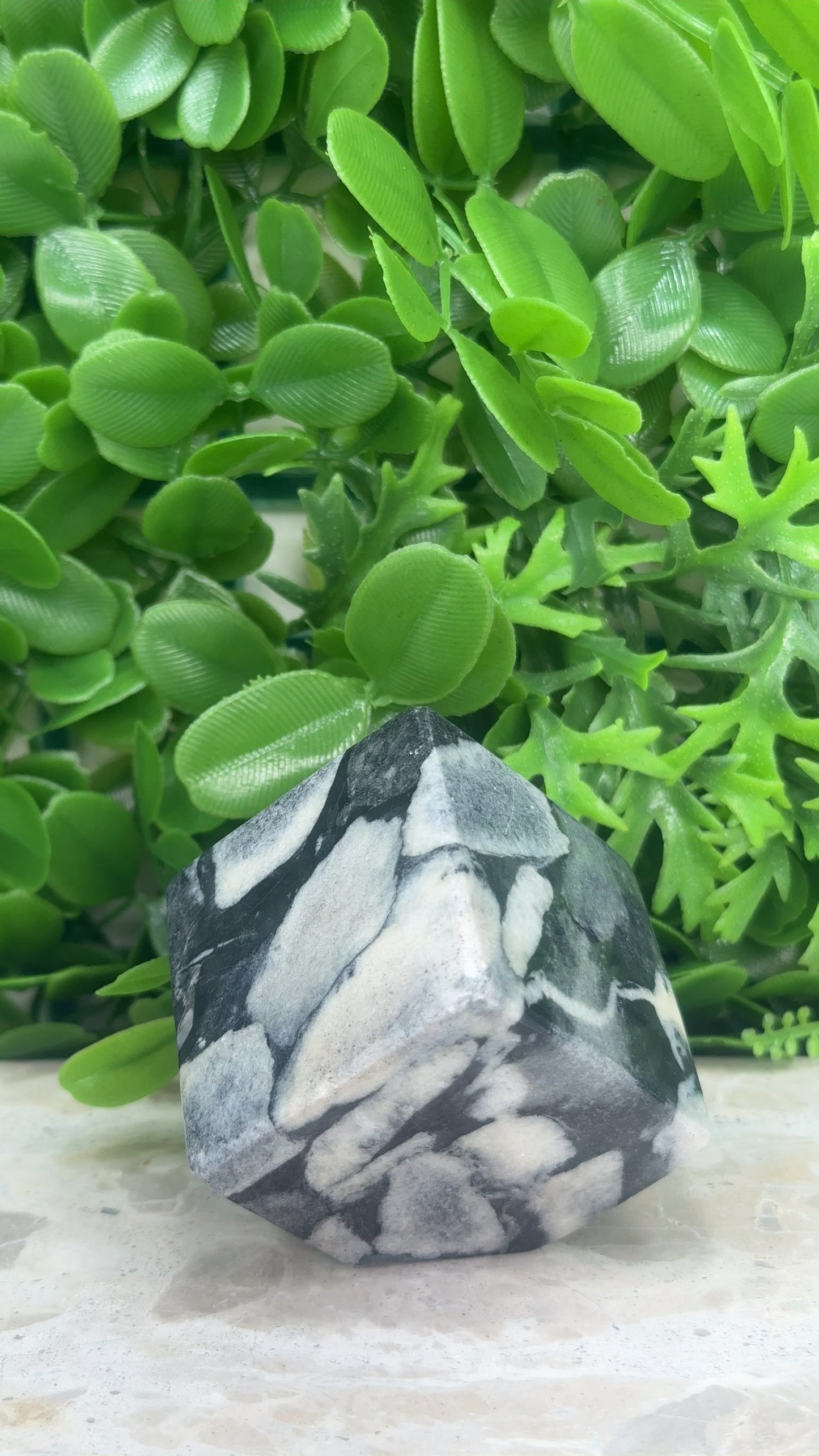 Shell Jasper Cube 320g