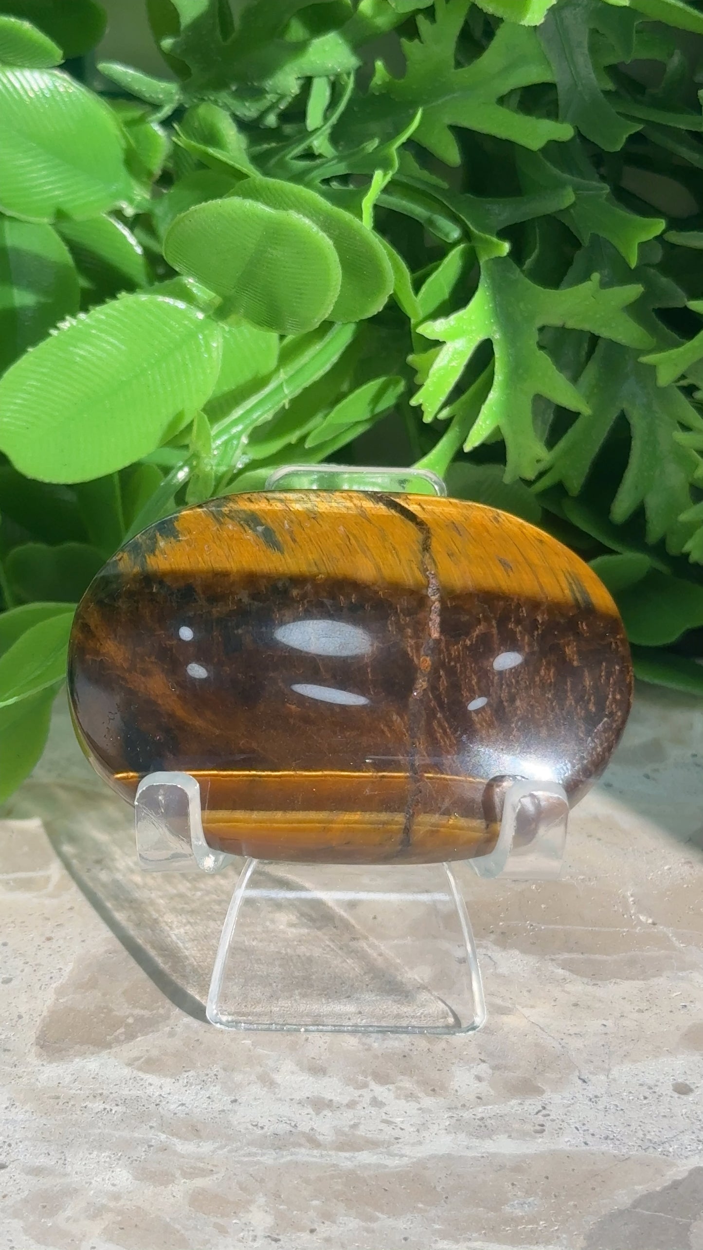 Tiger Eye Palm Stone 76g