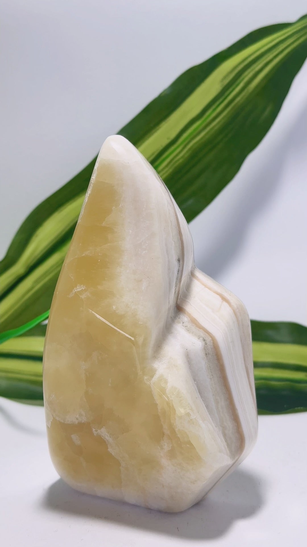 Pineapple Freeform 624g