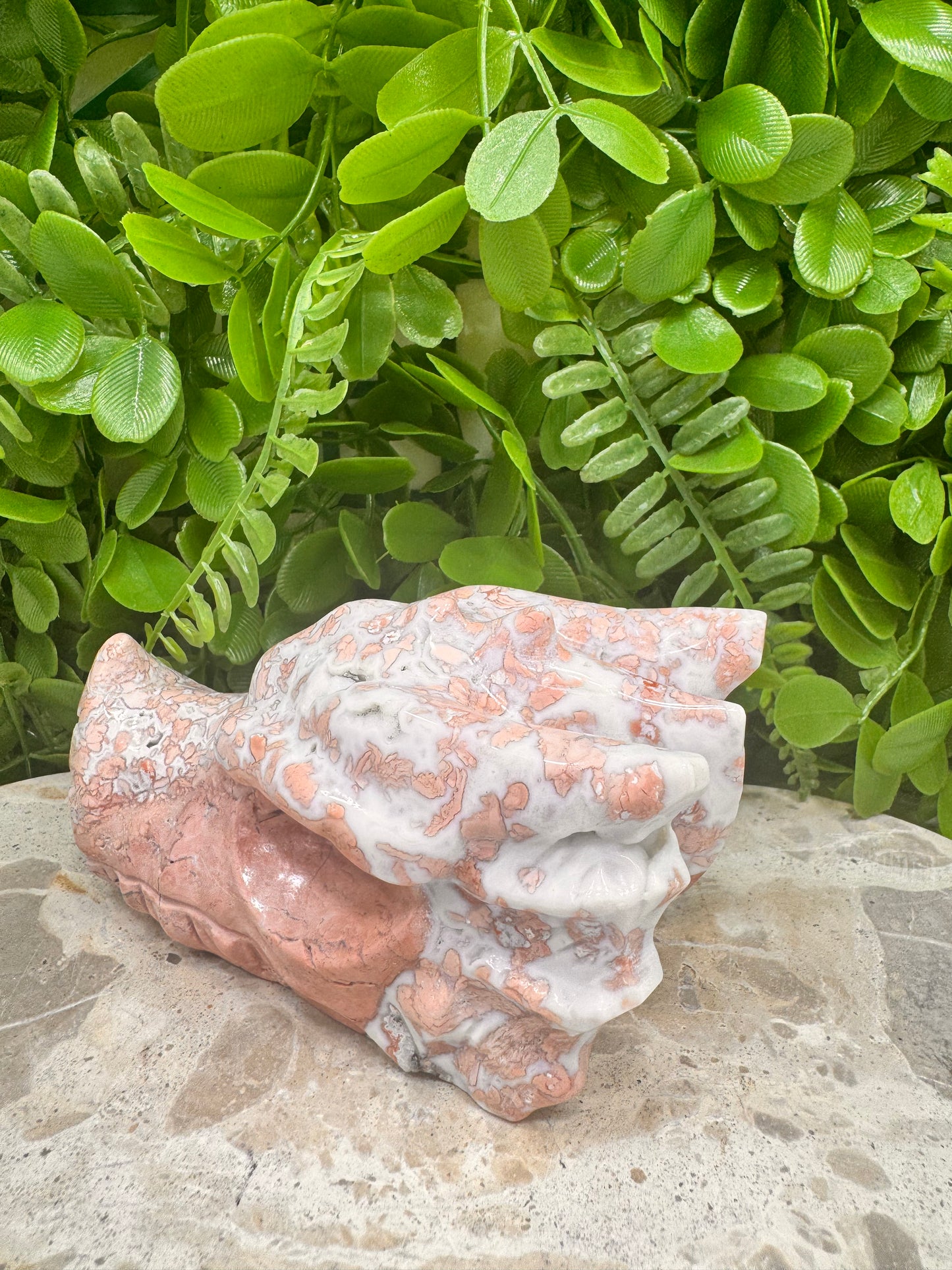 Pink Agate Dragon Skull 635g
